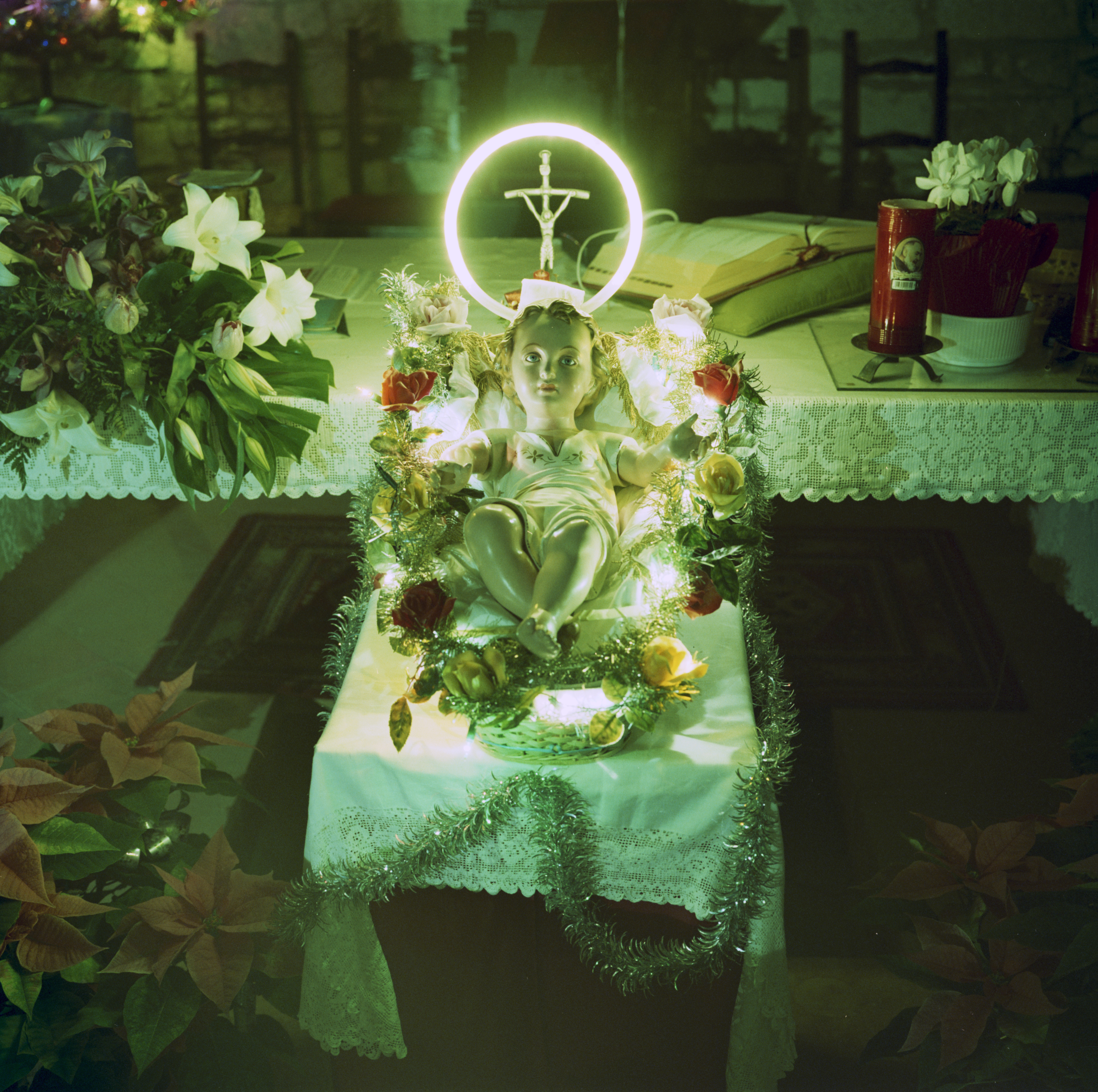 Piacenza Apennines (Italy) 2005