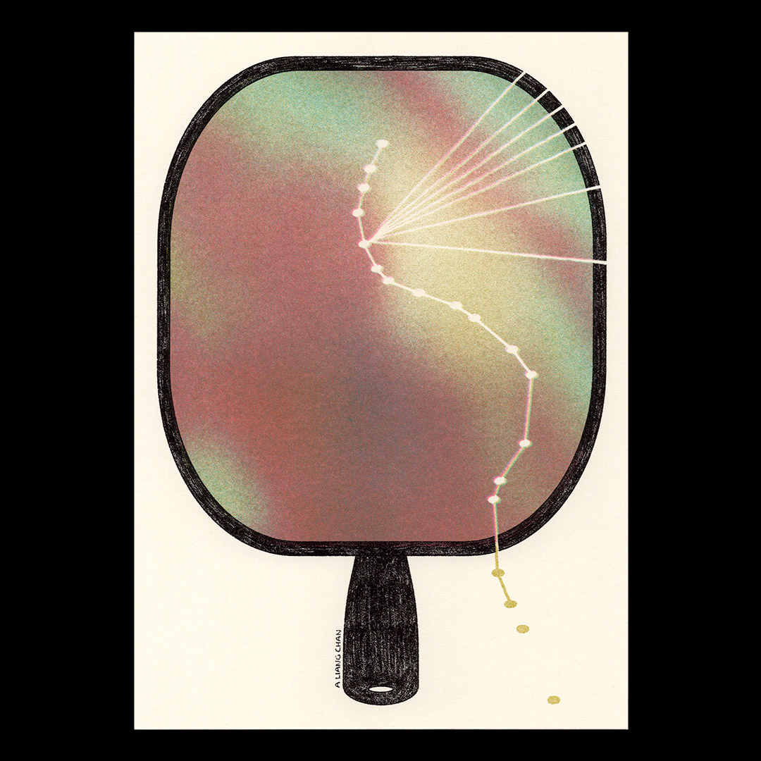 13 likeness (coral, aqua, bright olive green, black)