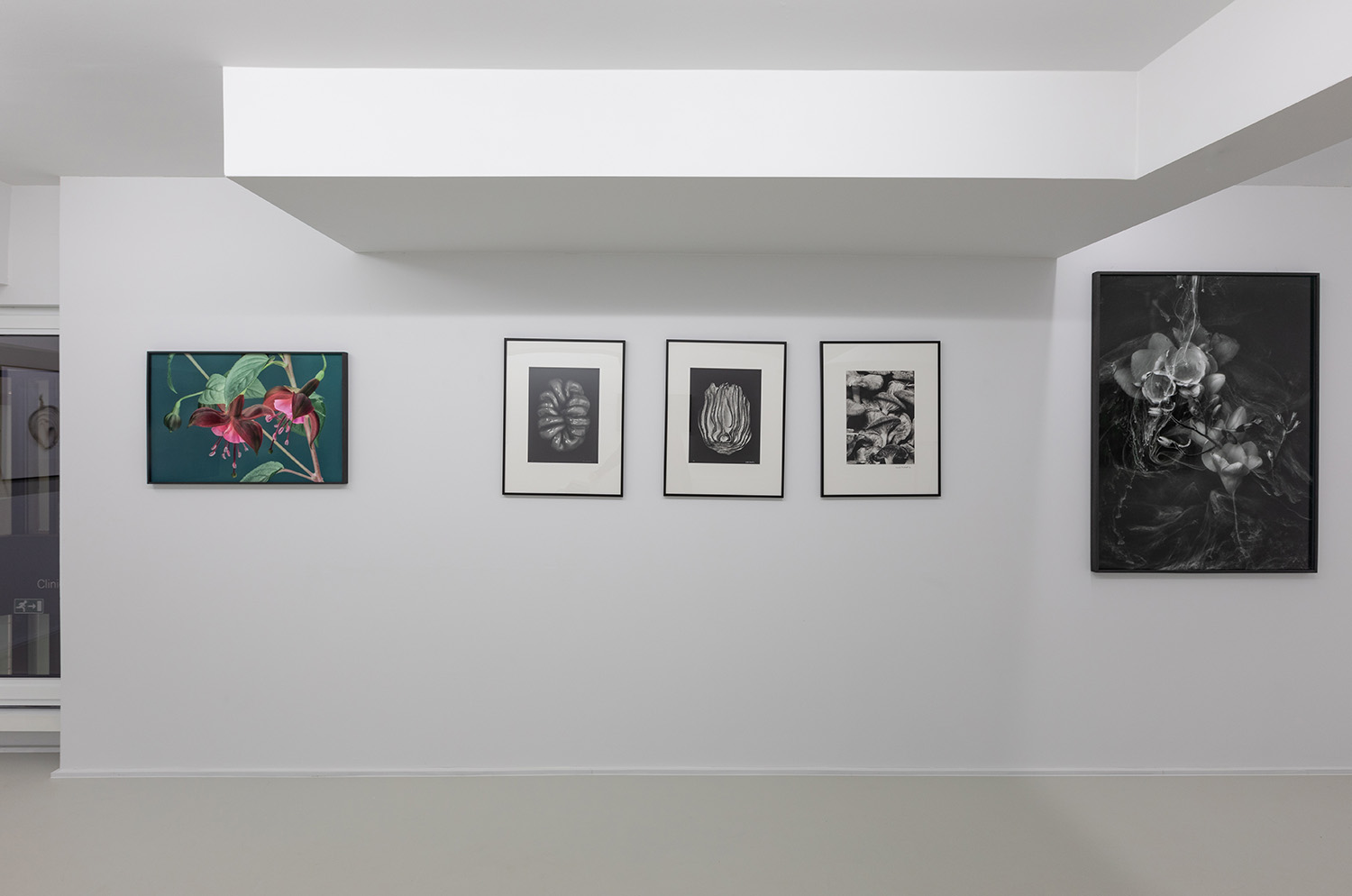 Michèle Schoonjans Gallery Brussels 2025