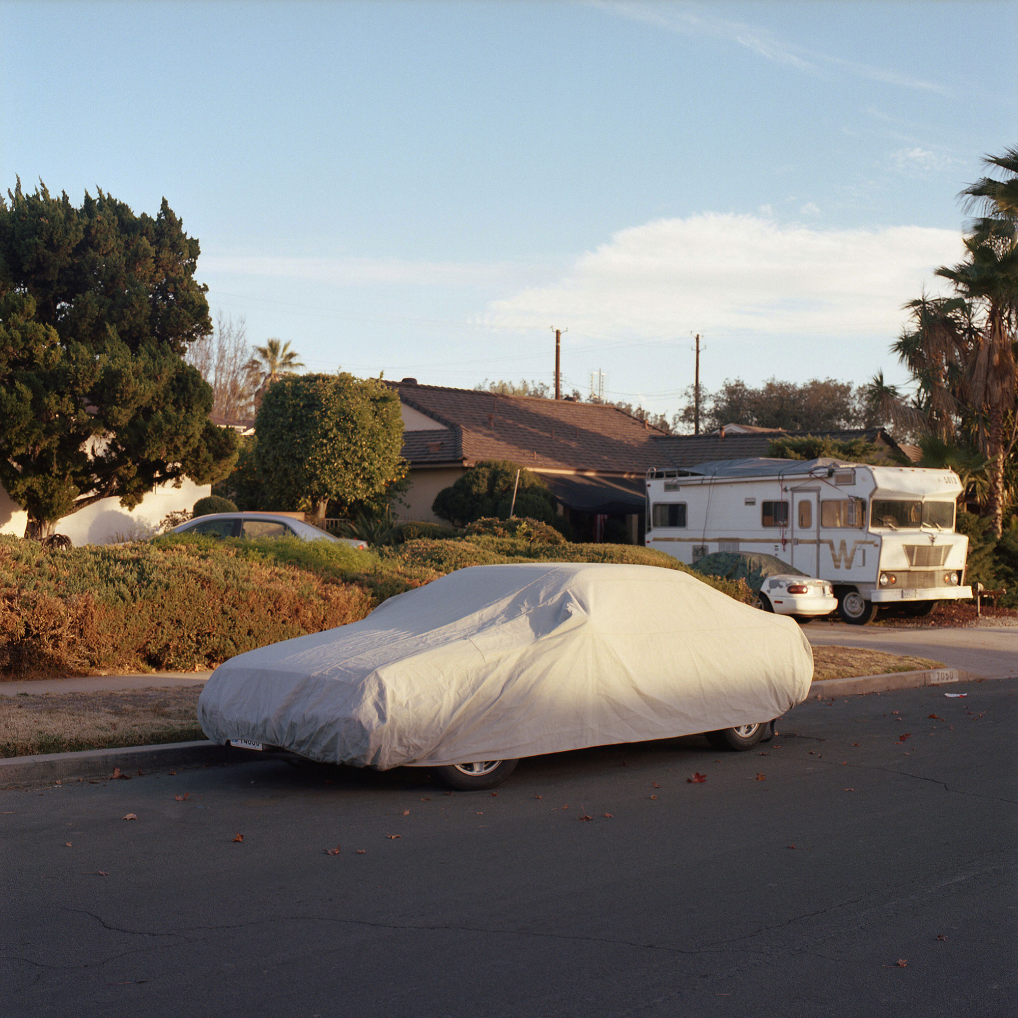 Tarp, Los Angeles, CA, 2016