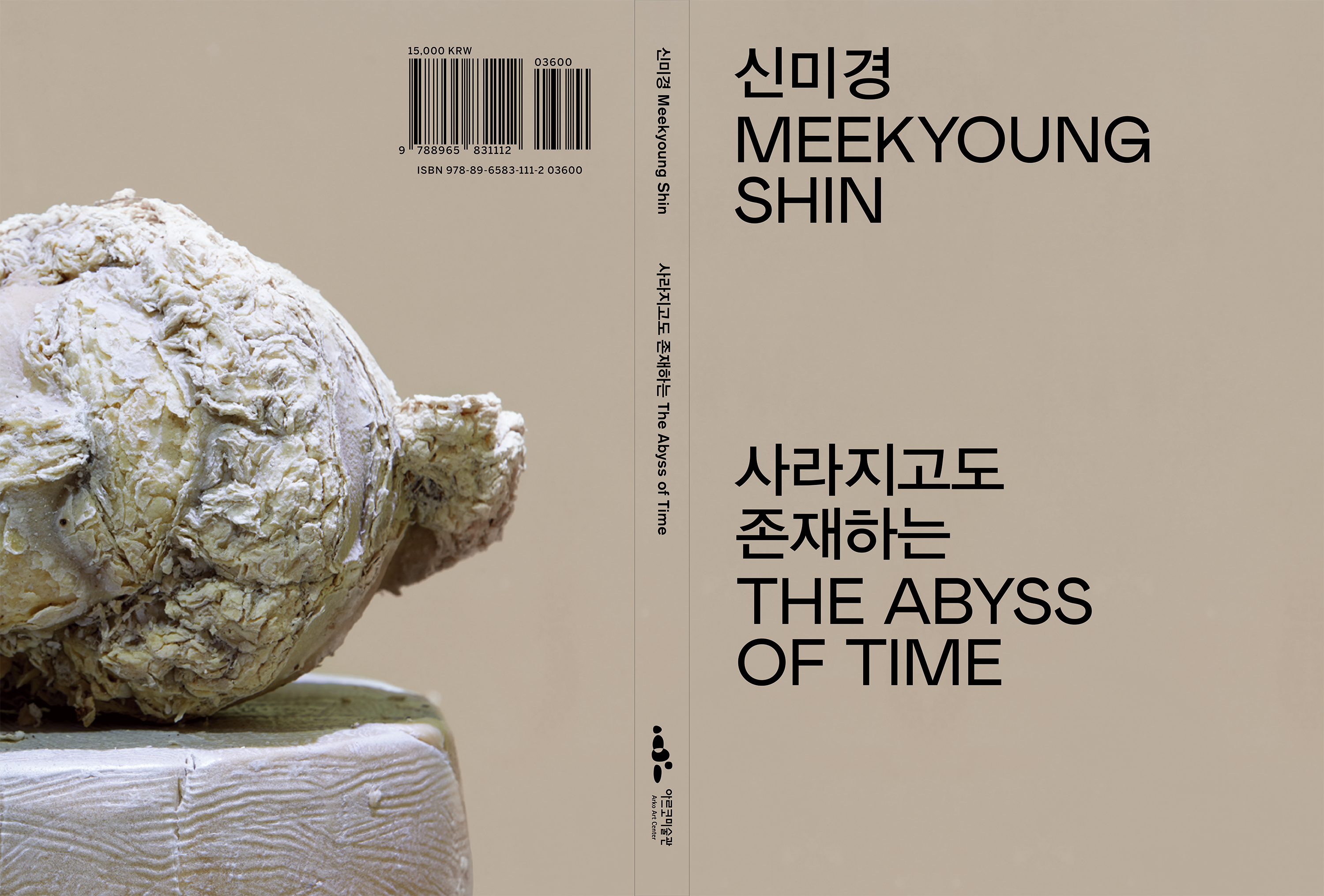 BOOK  The Abyss of Time