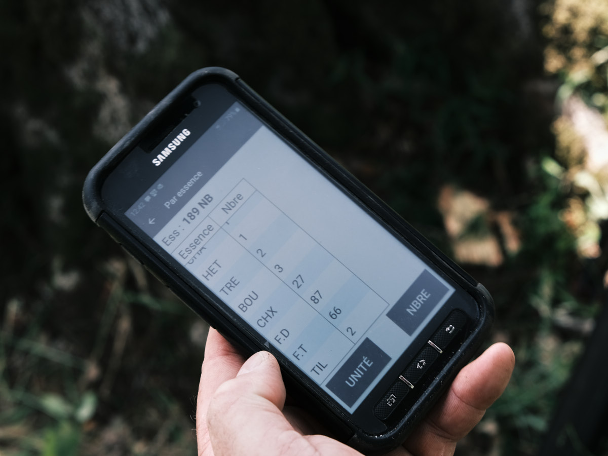 Les données de la forêts sont collectée en continu sous forme numérique