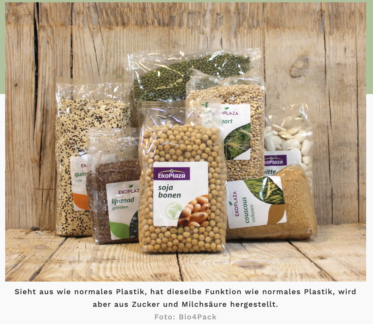 Süddeutsche Artikel von Michaela Haas