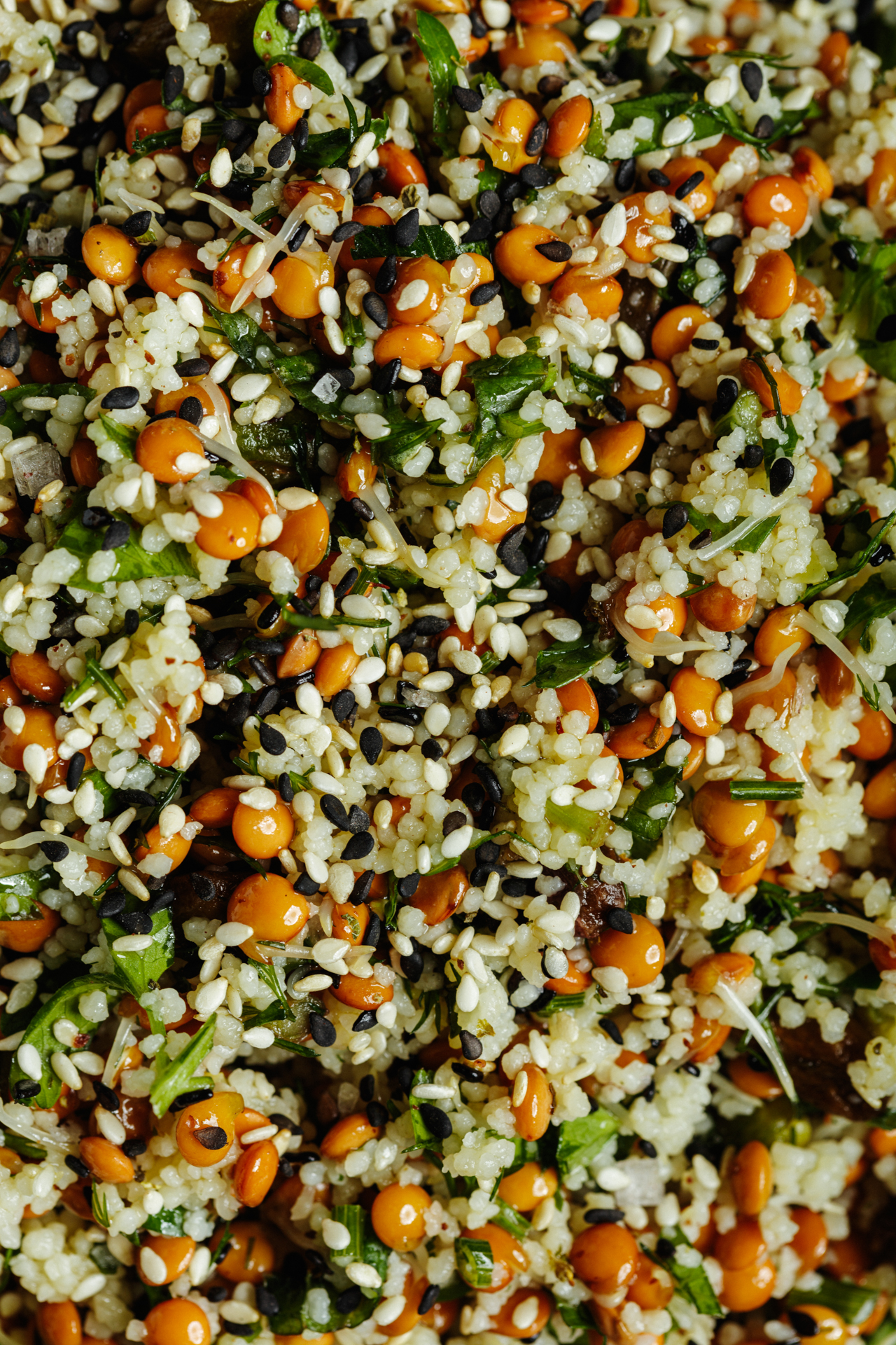 our iggy pop to the stooges