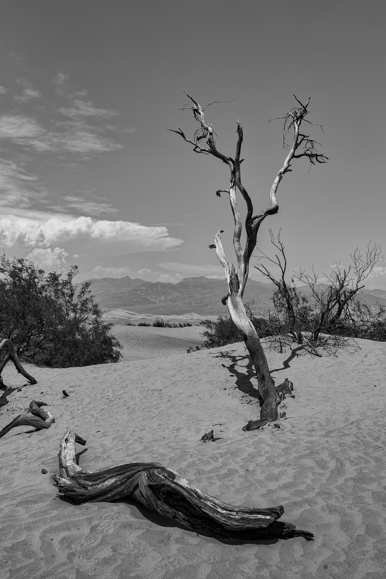 La vallée de la Mort (Death Valley) dans désert des Mojaves en Californie.Badwater, est à −85,5 mètres sous le niveau de la mer. Température relevée à Furnace 56,7°. Il faisait 52° ce jour là.