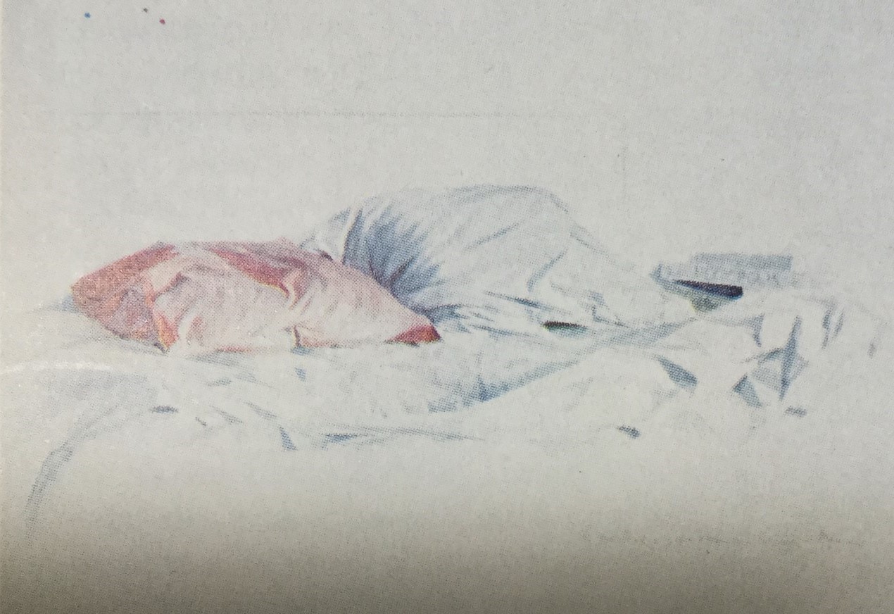 Kussens 1977 - watercolor 30x60 cm