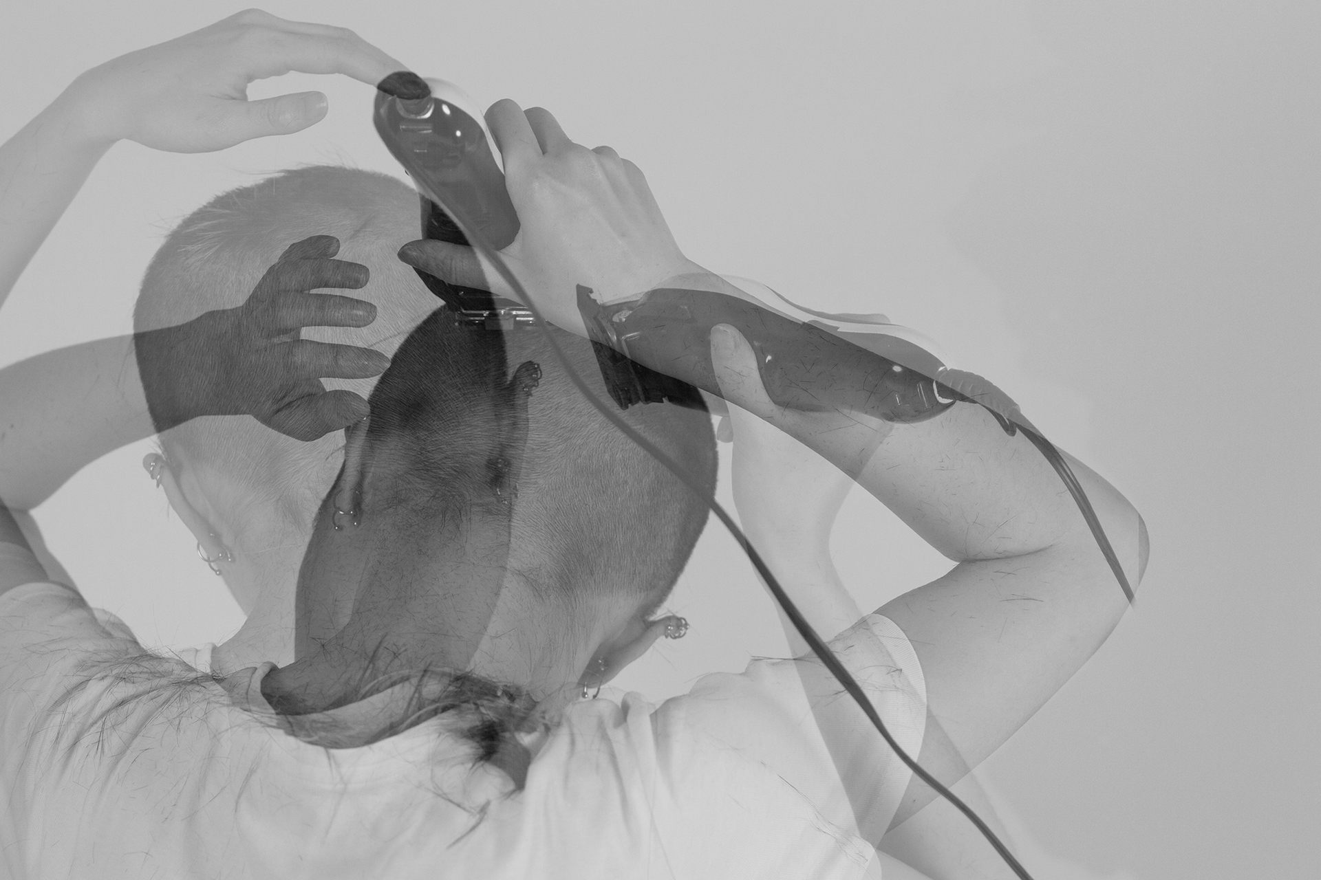 Photo by Julia Dotter