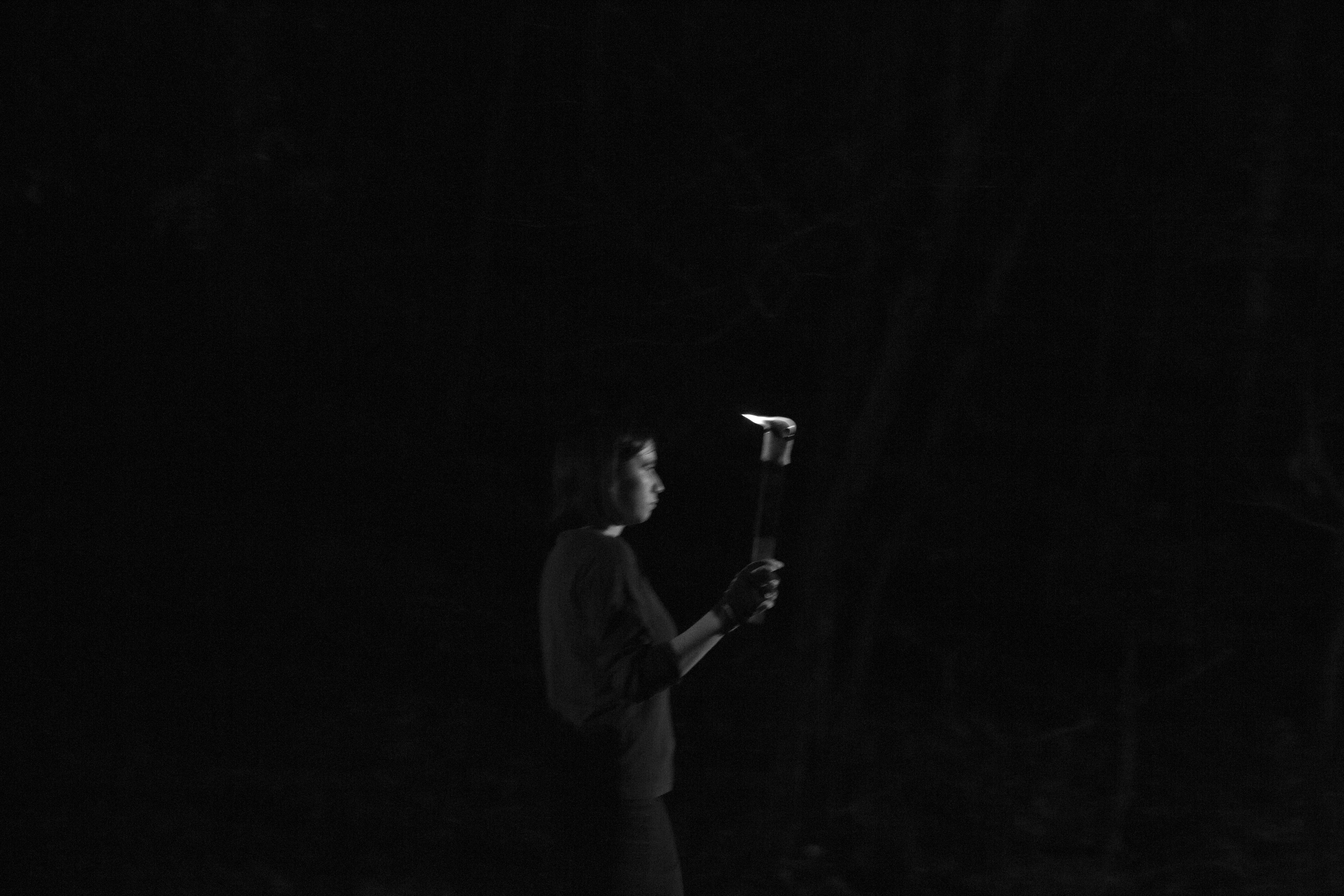 Torch bearers guide the shaman through black woodland