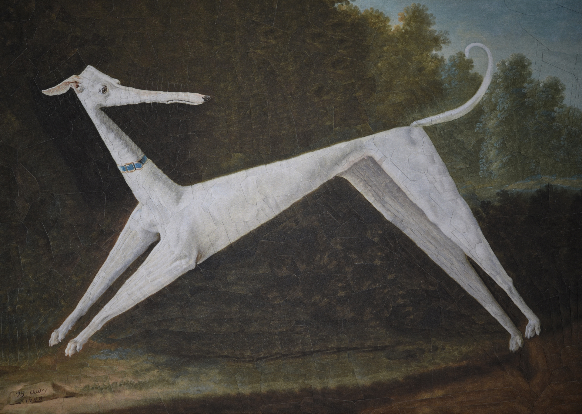 Darwin after Oudry, 2021, 11.6 x 8.2 inches