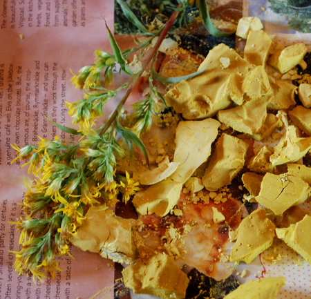 European goldenrod pigment