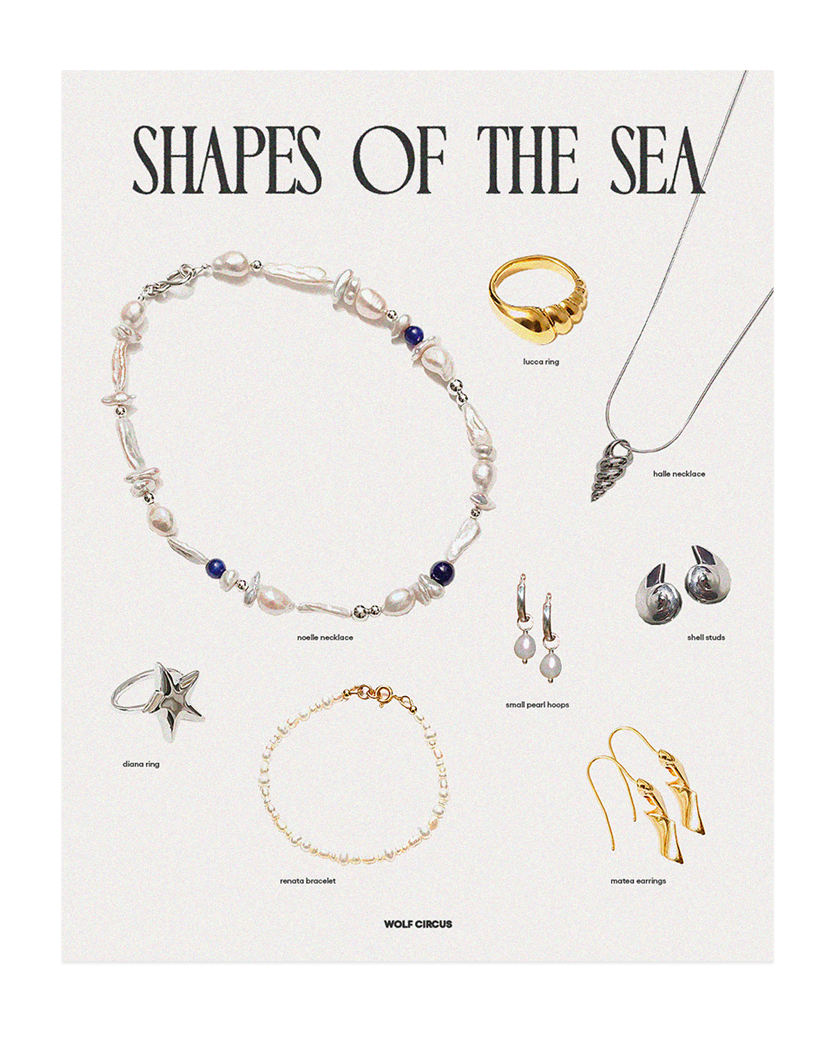 Shapes of the Sea - Themed Graphic