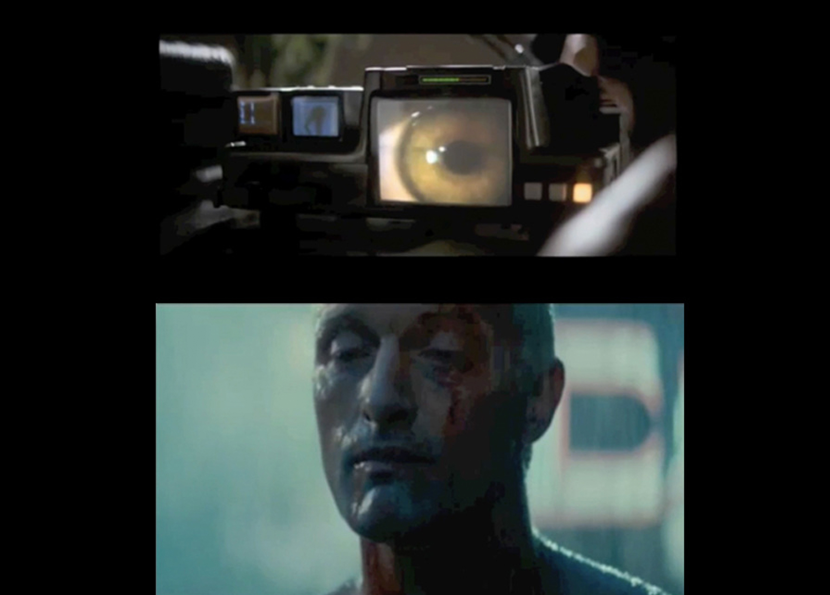 Stills from video, descriptions and credits: Bladerunner (based on the novel “Do Androids Dream of Electric Sheep” by Philip K. Dick), 1982, Ridley Scott. Because almost all animals were destroyed before the time of the novel, living animals are a precious luxury, and people aspire to own one. Most settle for electric, false animals. In this fictional world, even mechanical animals are prized. The story follows bounty-hunter Rick Deckard, who is charged with the task of finding and destroying androids by administering a verbal test to determine whether a person in an android or not. The test uses empathy responses to emotional questions, distinguishing humans partially on the basis of their empathy toward animals, and the unconscious movement of their eyes. Near the end of the film, one android shows an unexpected moment of emotion before his pre-determined death.