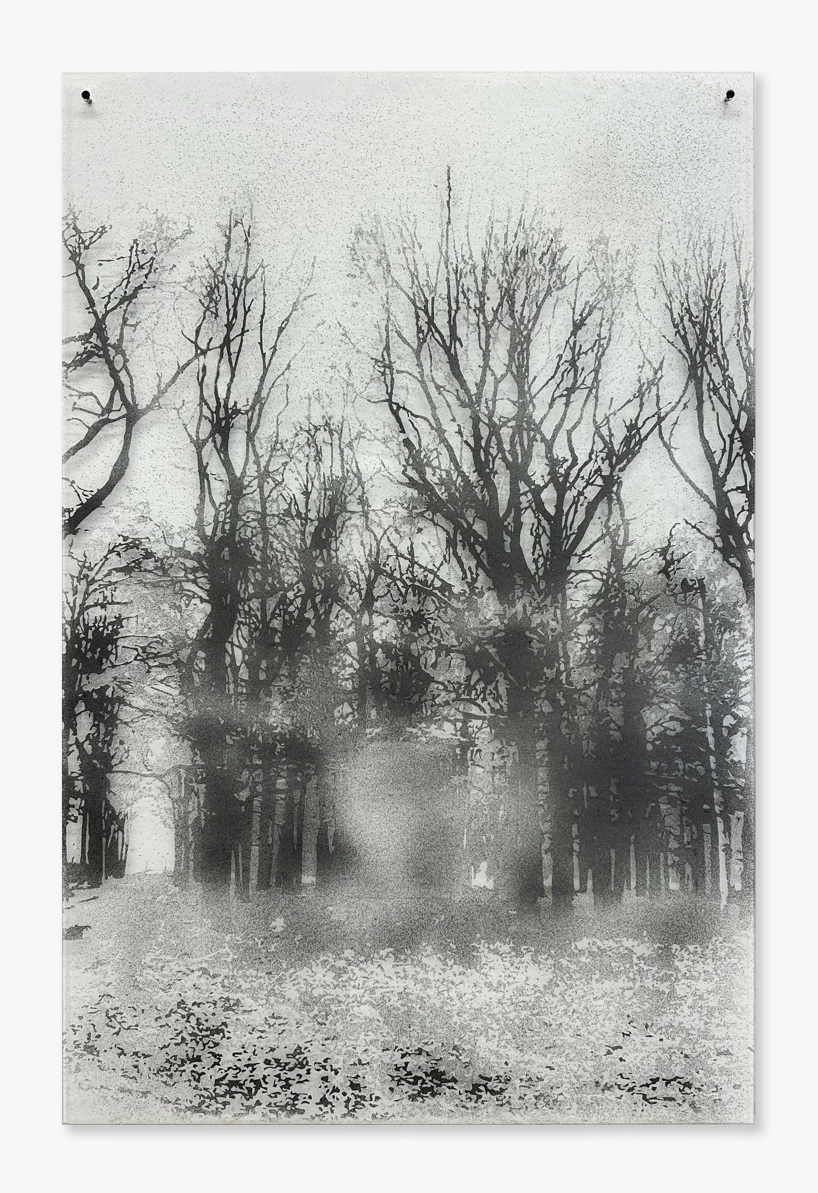 © Nicolas DAUBANES A la faveur de la nuit, 2023