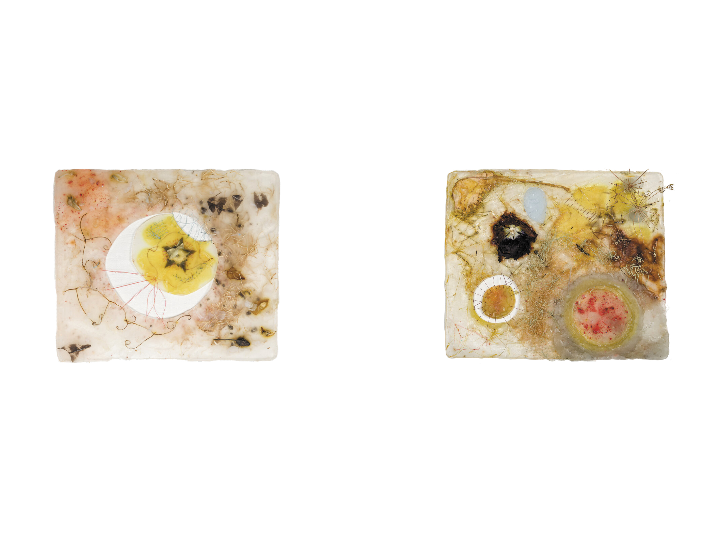 Soapdish 2 & 3, 2020