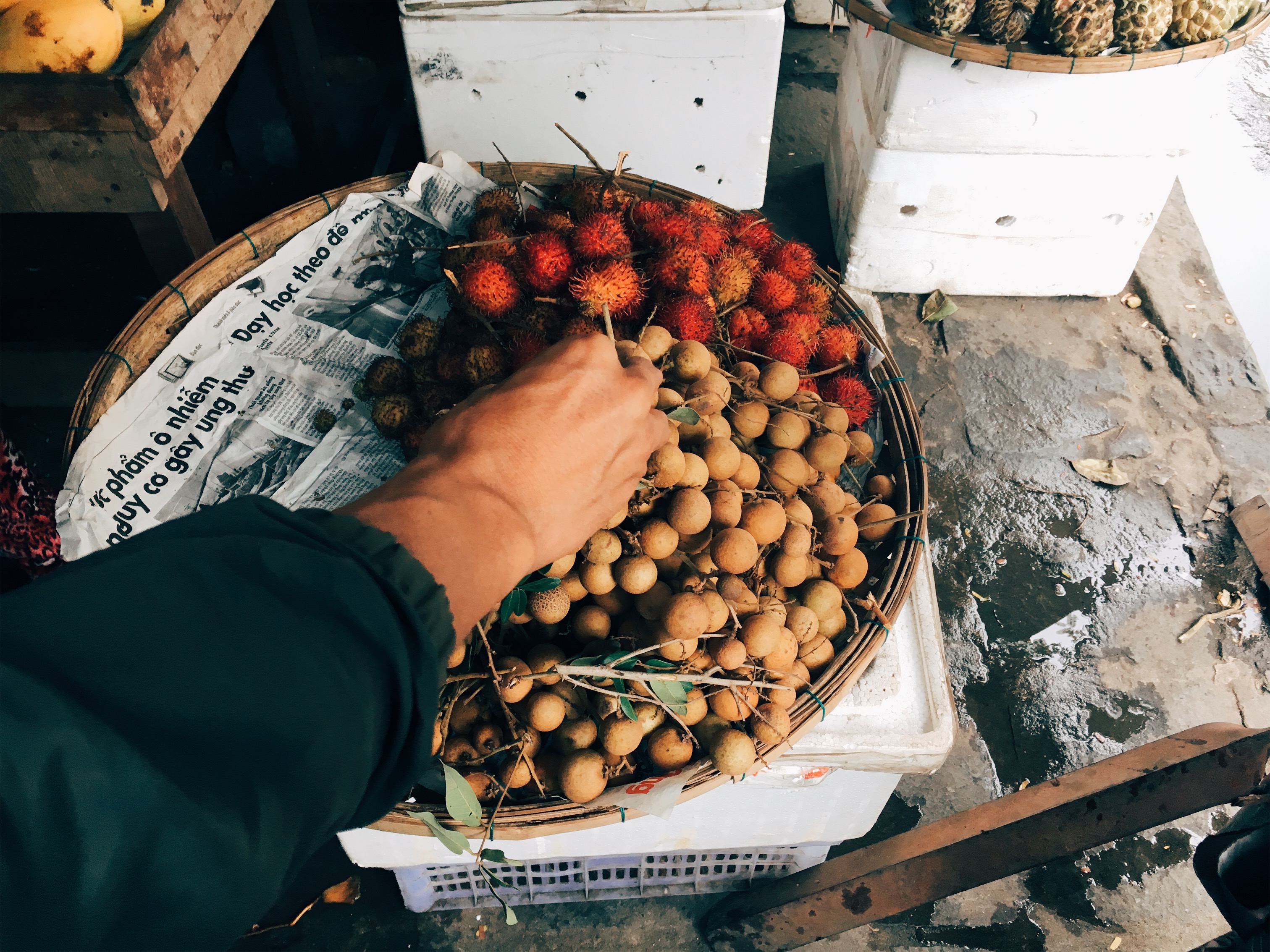 Hội An, Vietnam 2017
