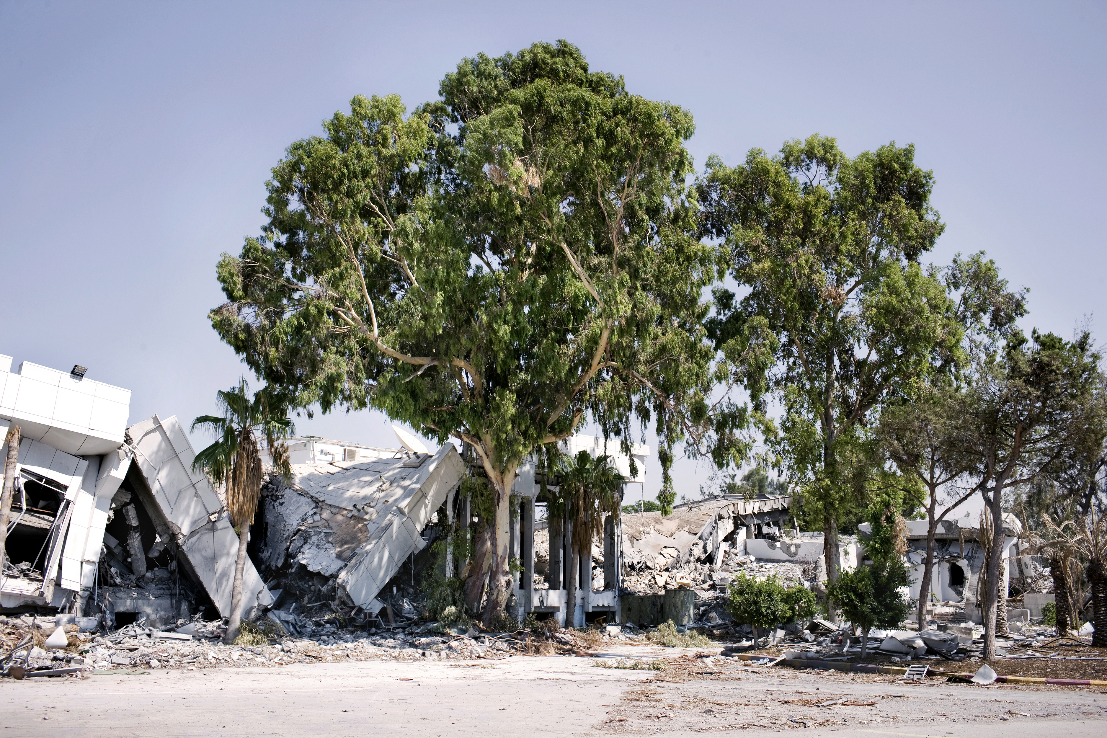 Tripoli. Libya. 2011