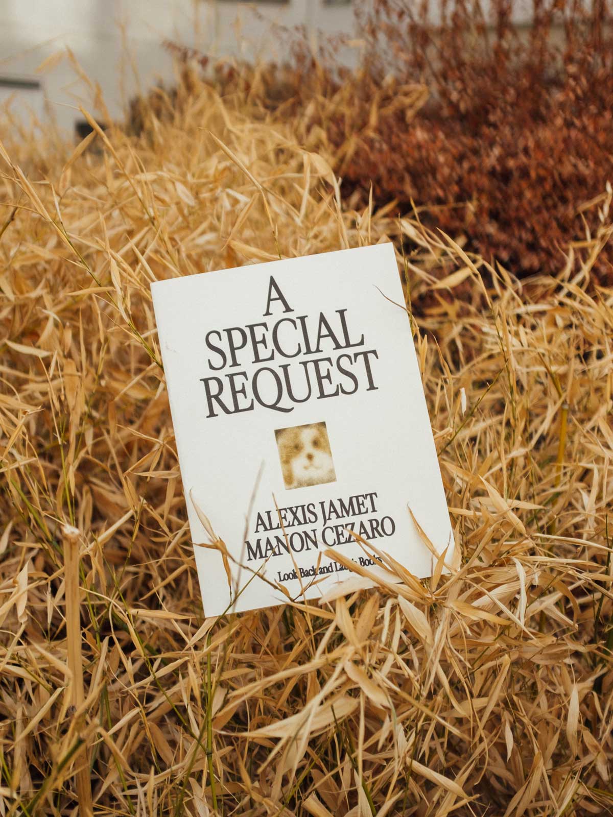 A Special Request, LBAL Books