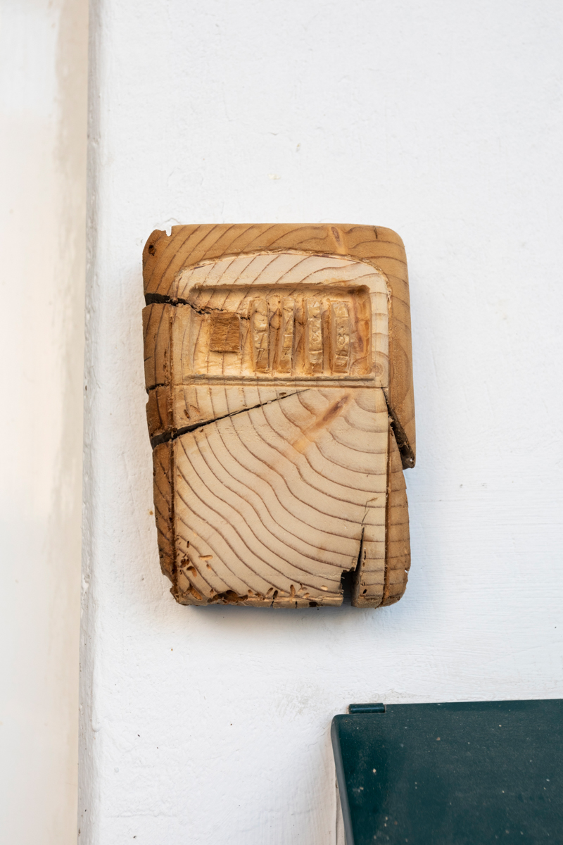 31 Riding the Blue Wave