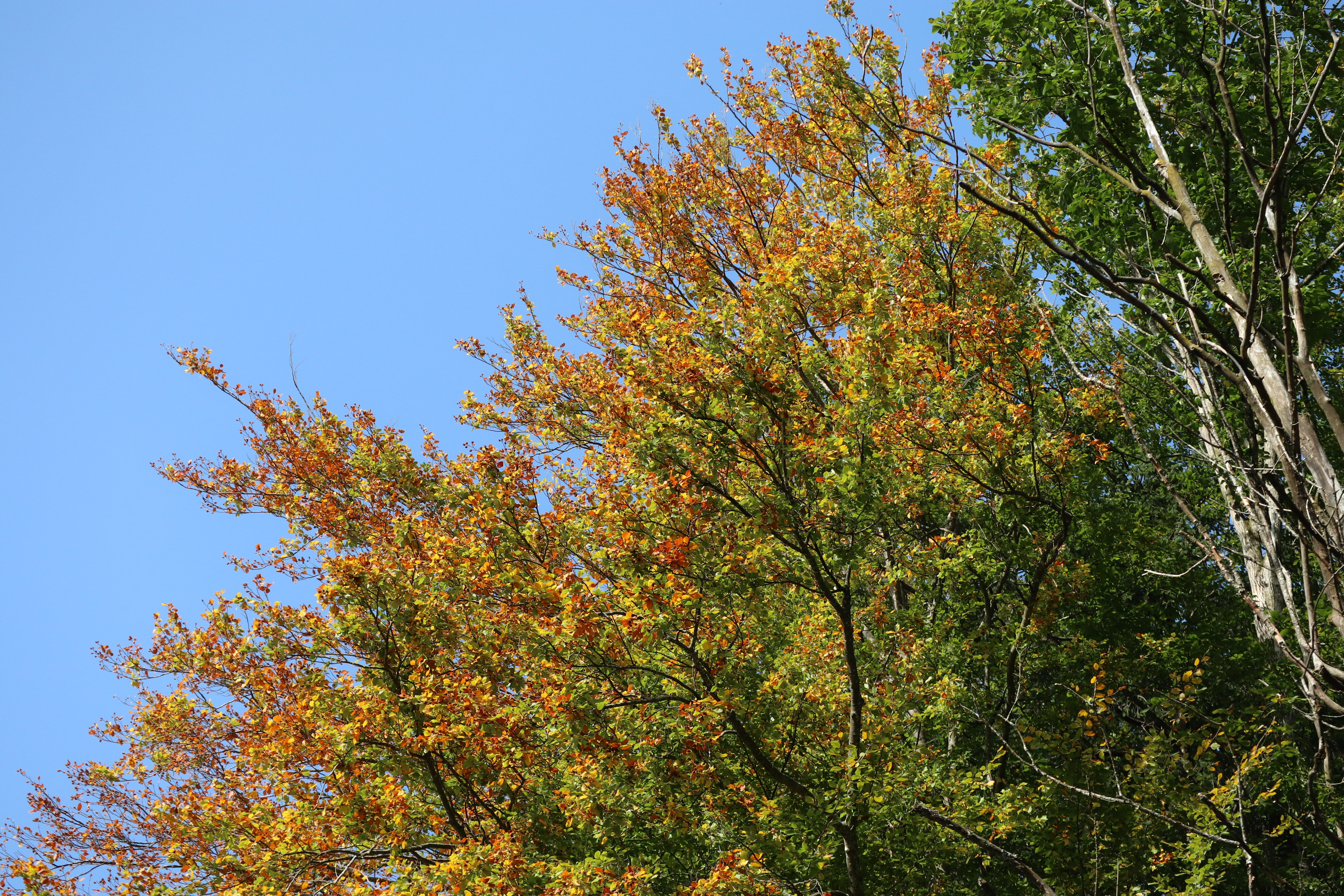 Ver&auml;nderung im Hier und Jetzt