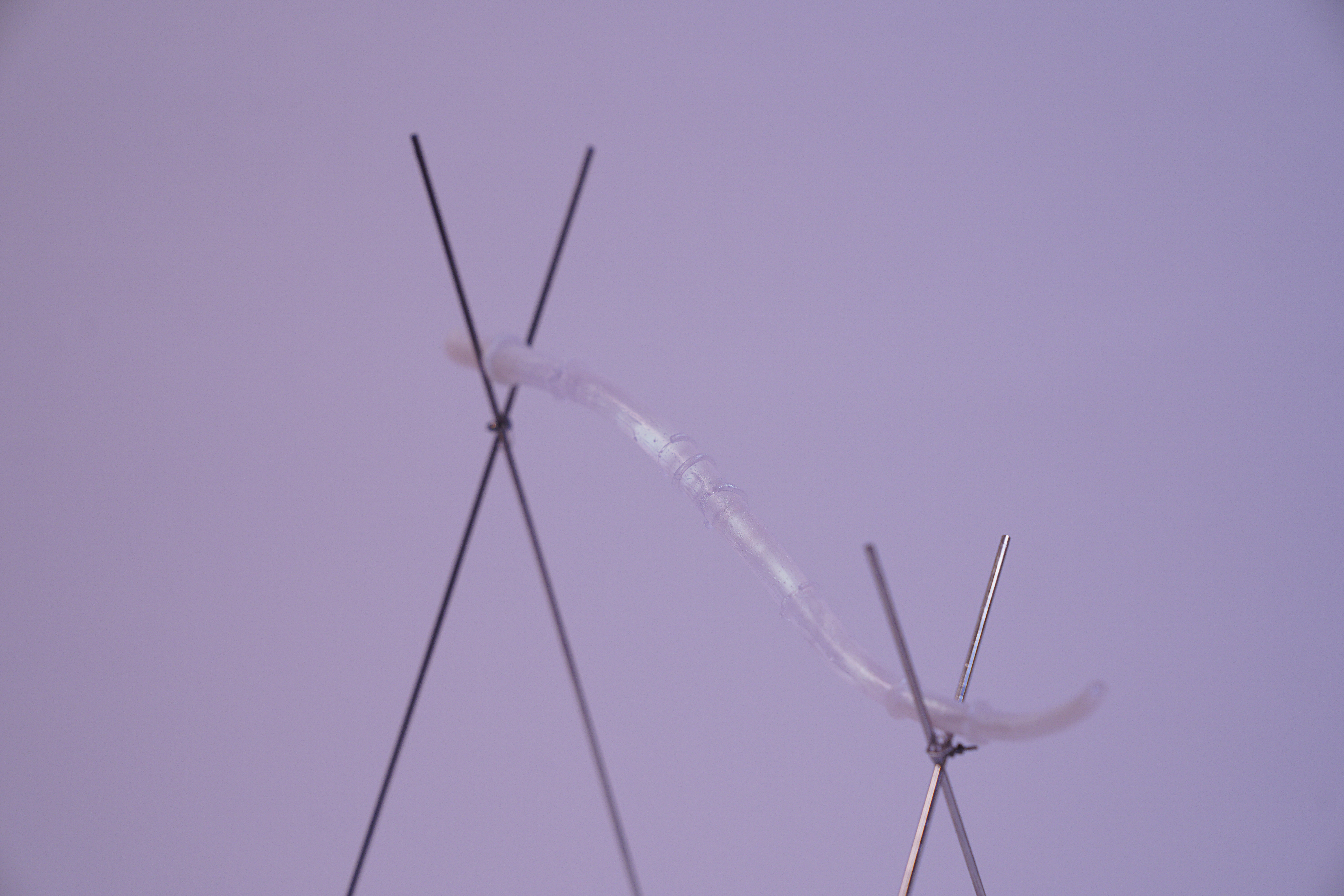 '눈 더듬이' 거치대set, 레진, 와이어, 2020