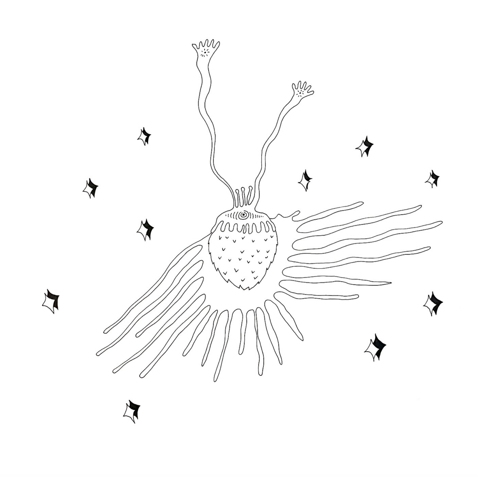 Strawberry fields forever 🍓