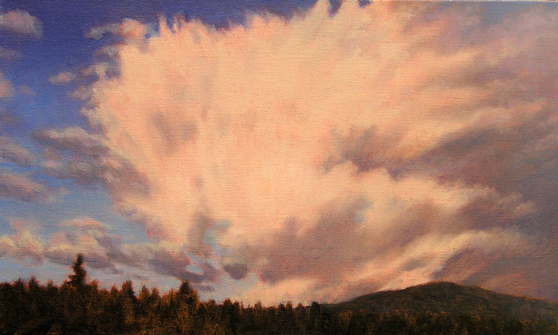 L3.39 - rapid cumulus