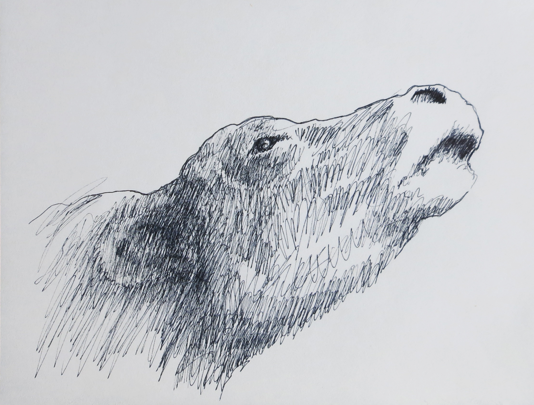  Ink on paper &ndash; 11&rdquo; x 8&rdquo; 