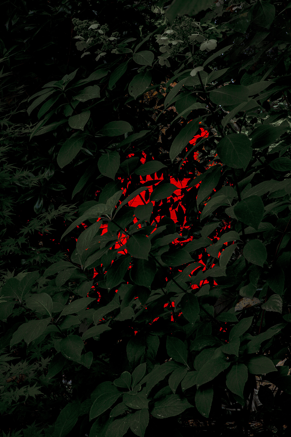 PHOTOGRAPHY RAF STUDIO LOVE SONG DIDIER FAUSTINO ARCHITECT