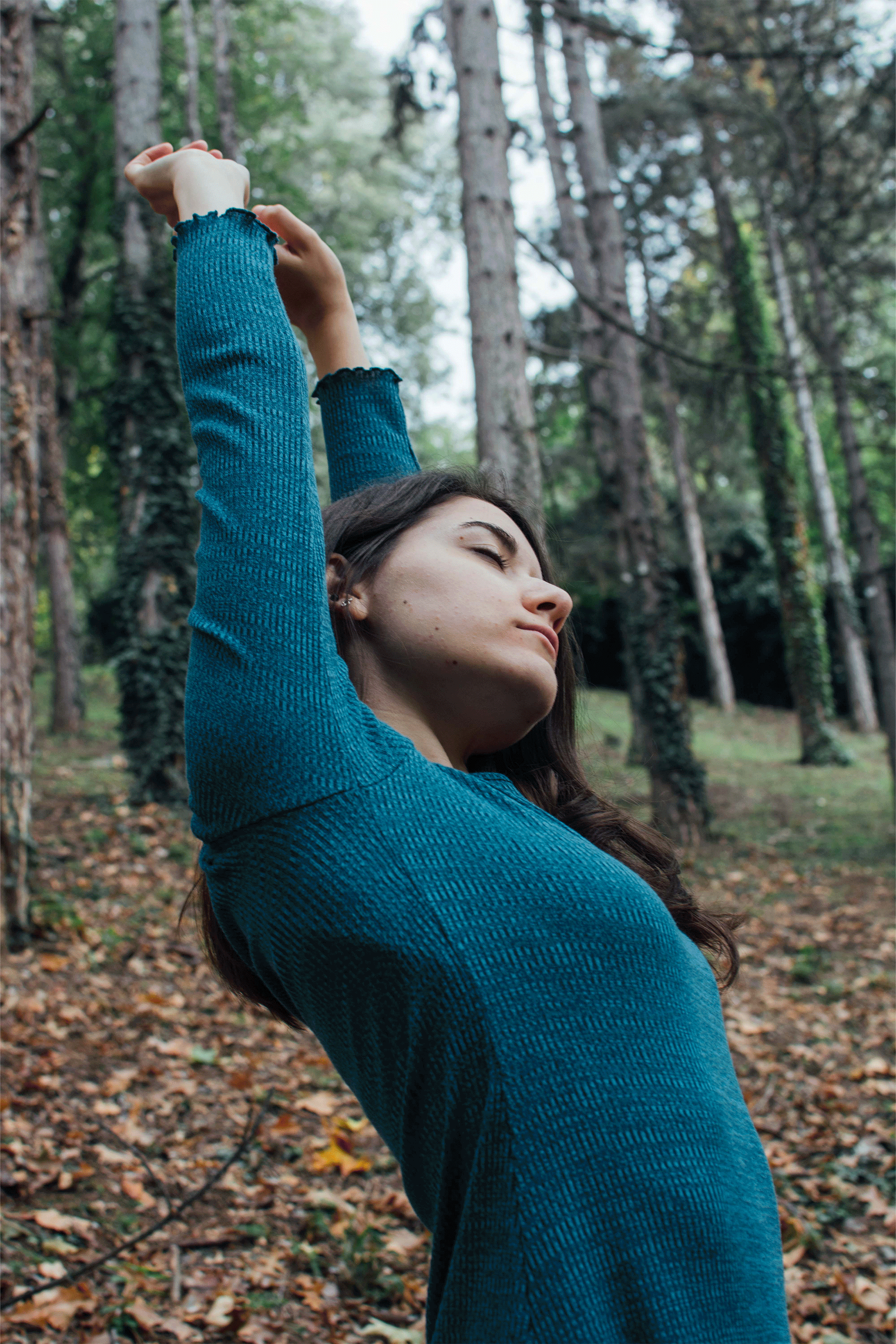 ︎ FLOW, Awakening (2019).