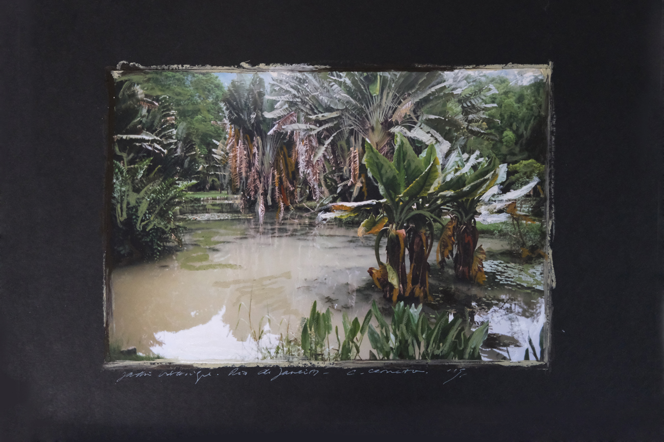 42 x 60 cm