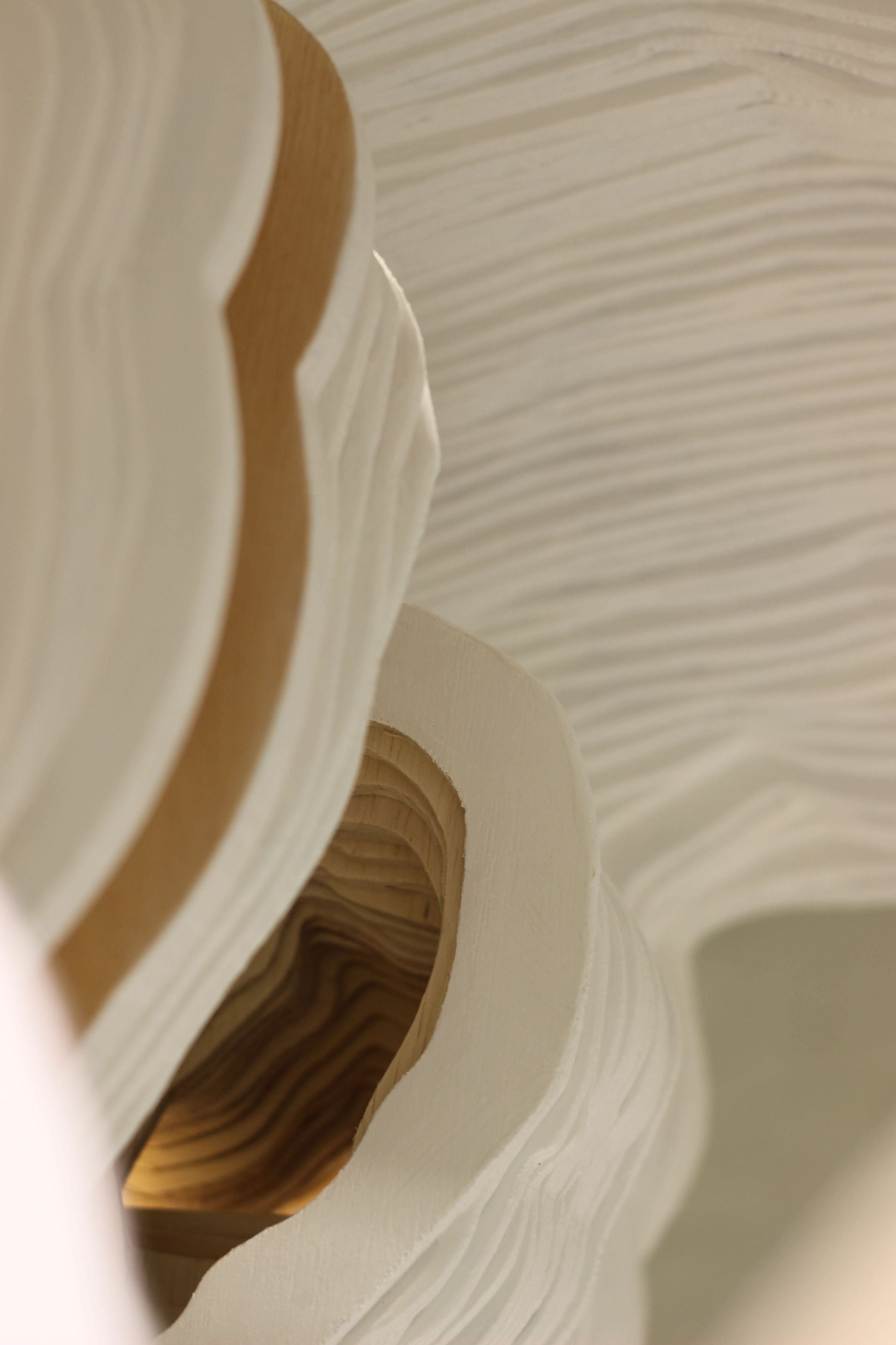 Detail of the wood sculpture that emphasizes the layers.