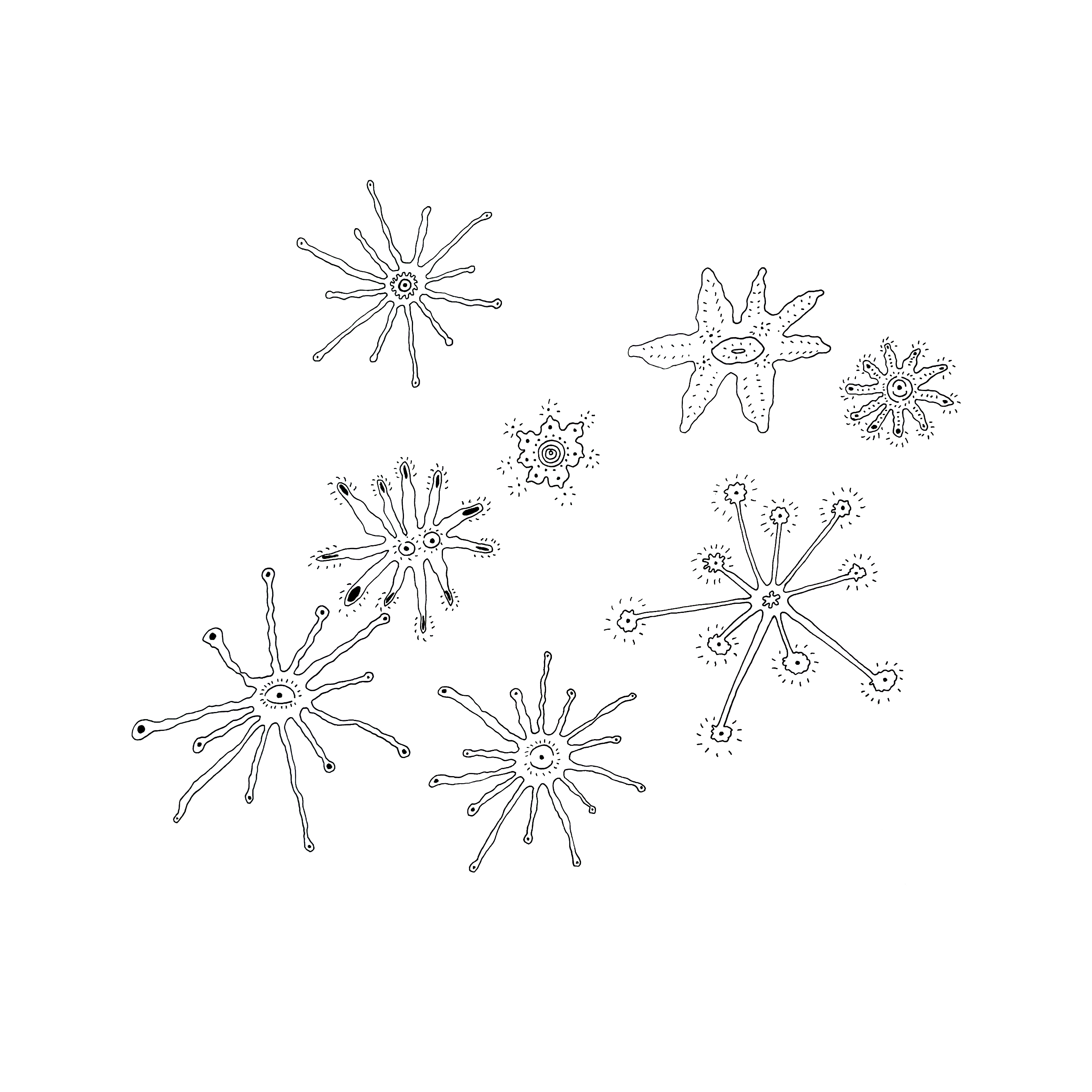 Little Twinkles in the sky ✨✨