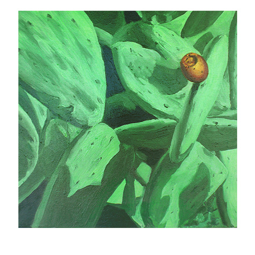 TUNERA 2009, oil on canvas, 50cm x 50cm
