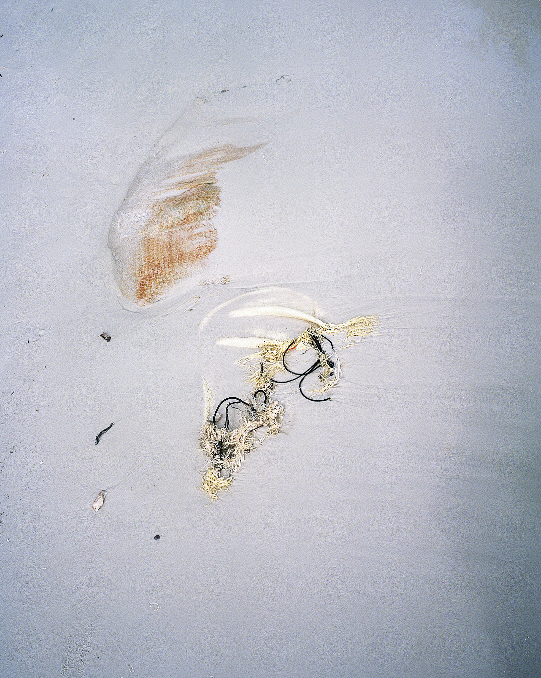 Untitled (Landscape, Vietnam, 2016)