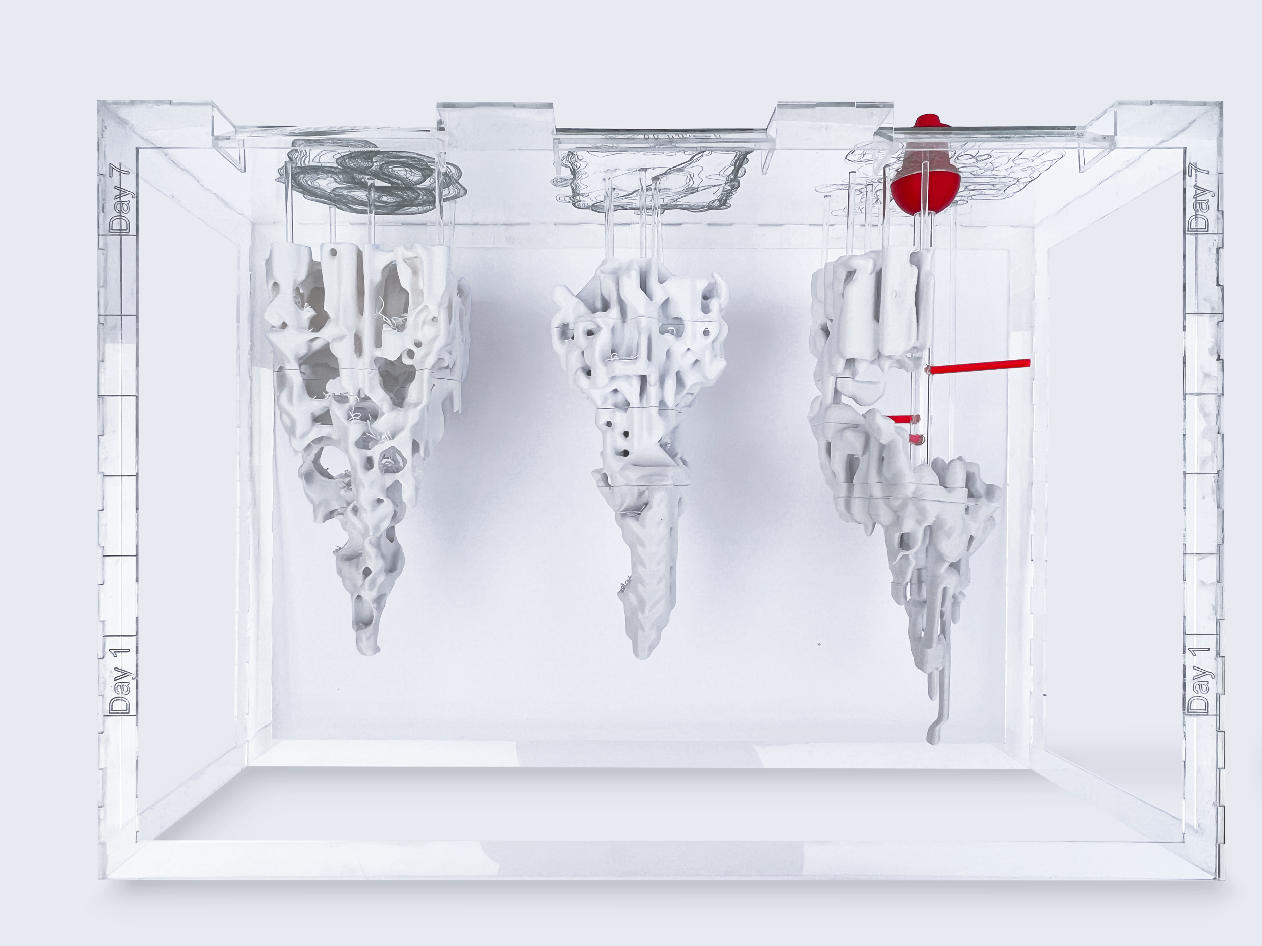 Exploration into algae growth and a possible intervention artefact model