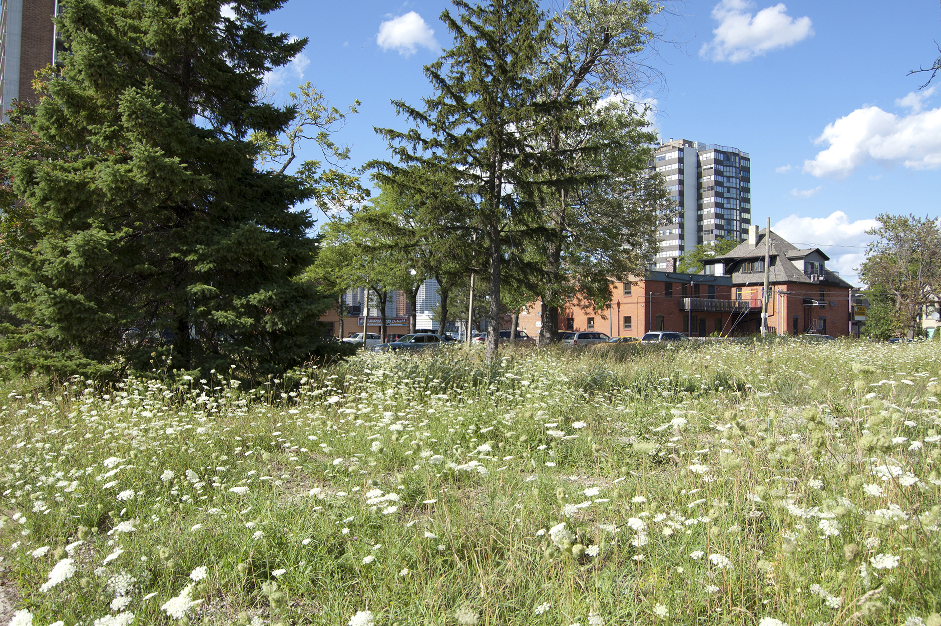 Kiki Athanassiadis, Reflections from a citizen's abandoned-lot design consultancy.