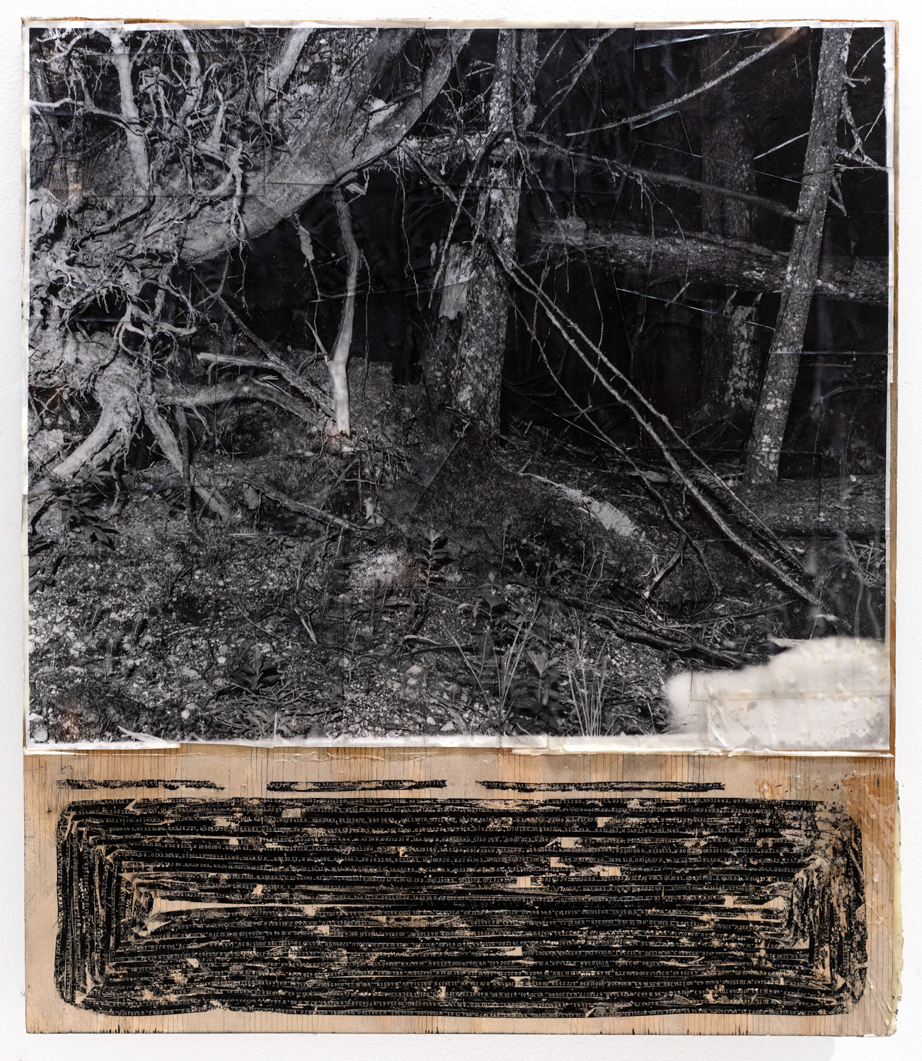 openings.txt, 25x32" panel with silver gelatin prints on expired paper, typewriter ink, encaustic