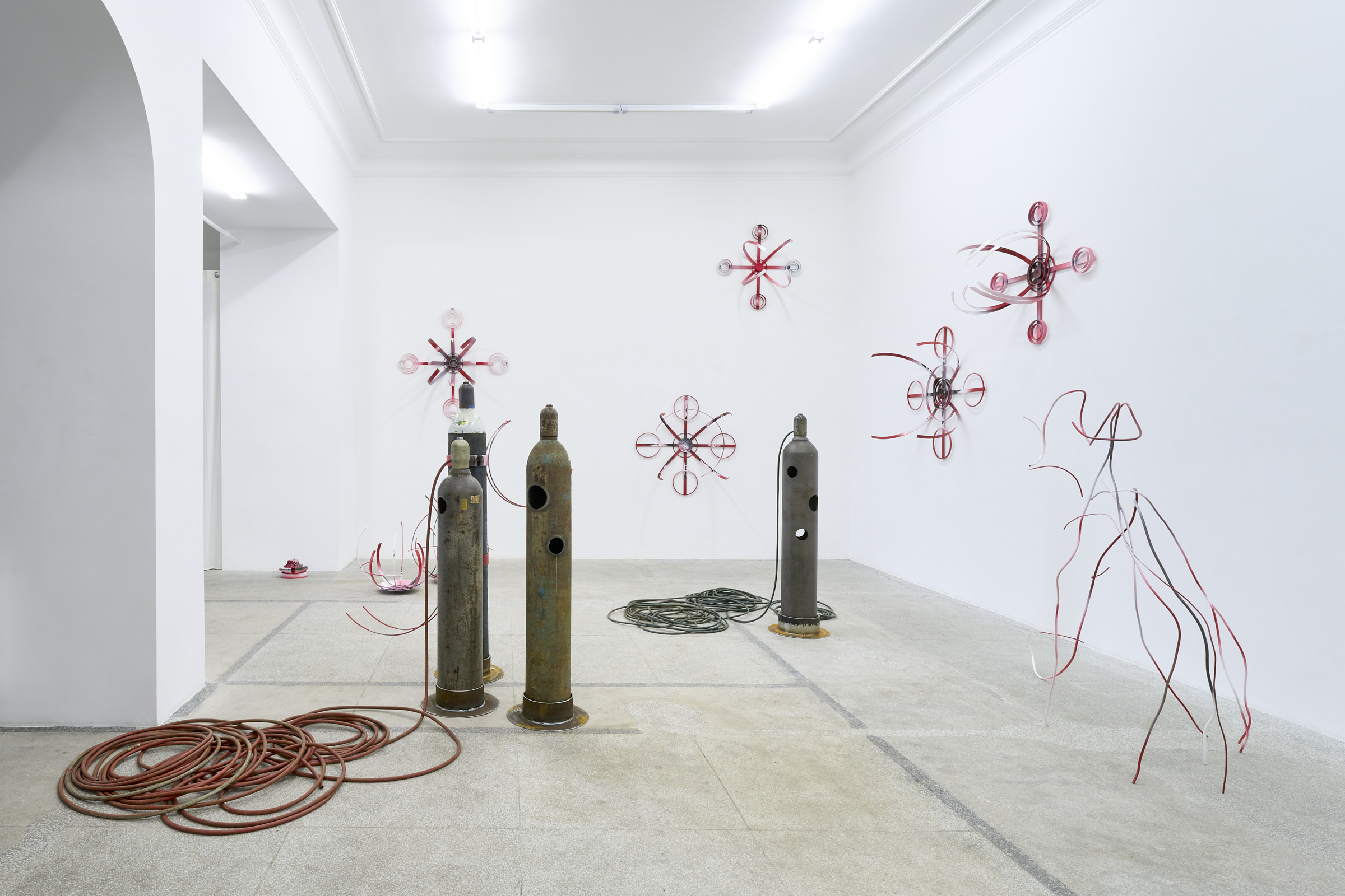 SWARM / RÓJ by ZUZA GOLINSKA at PIKTOGRAM GALLERY [from 20250711 to 20250906] [Photo: Blazej Pindor]