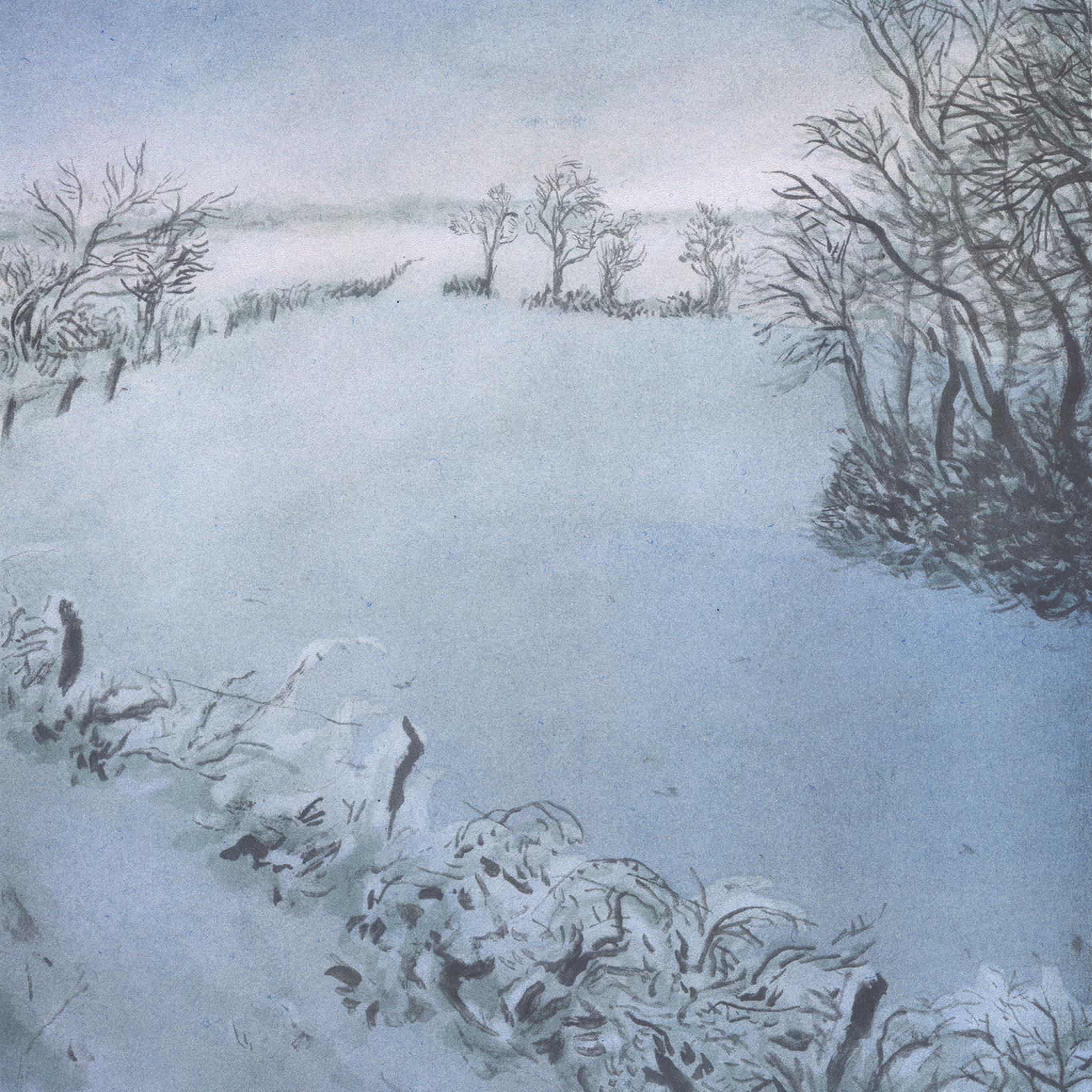 the hedges