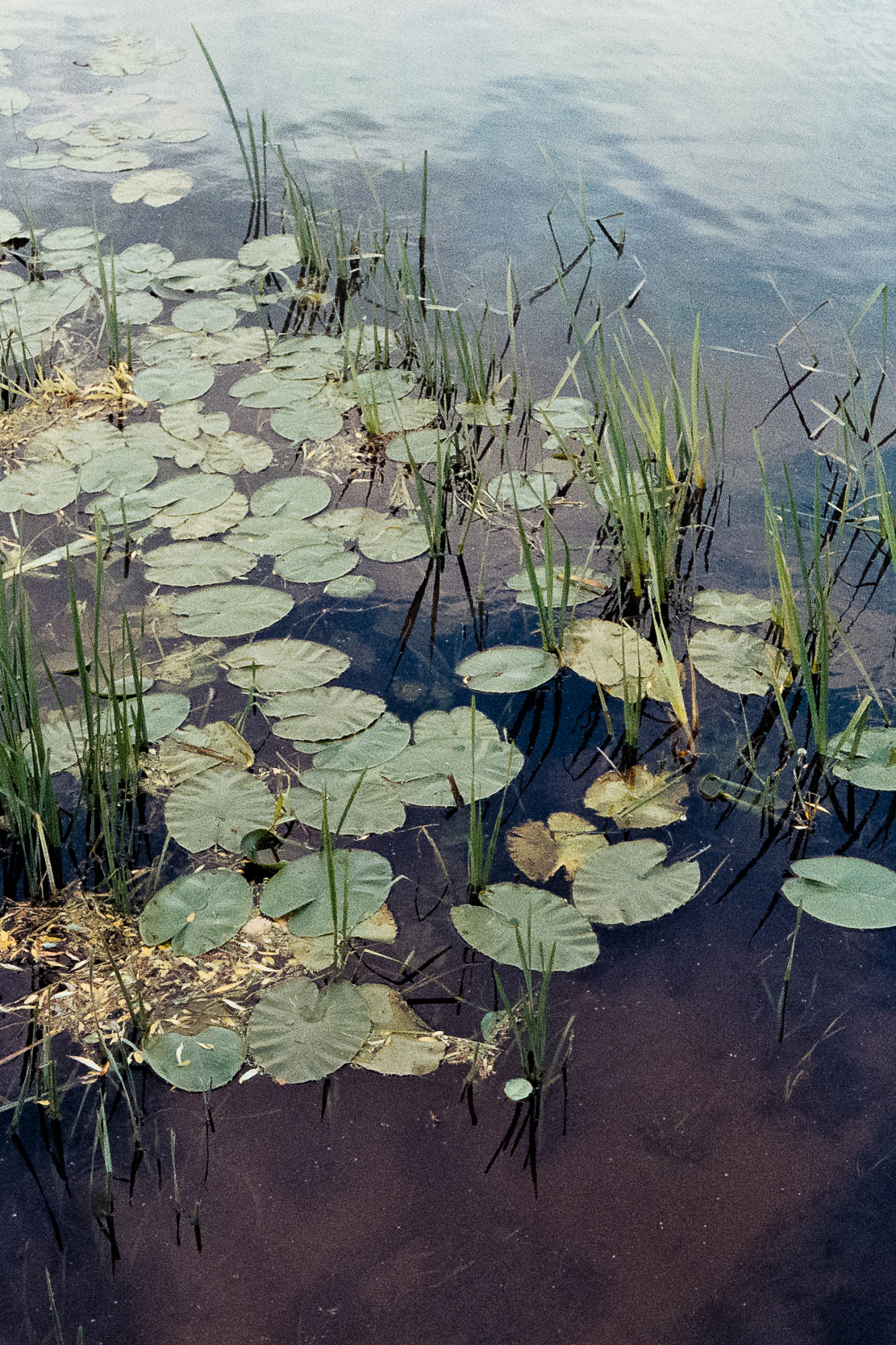 Birmingham, Royaume-Uni