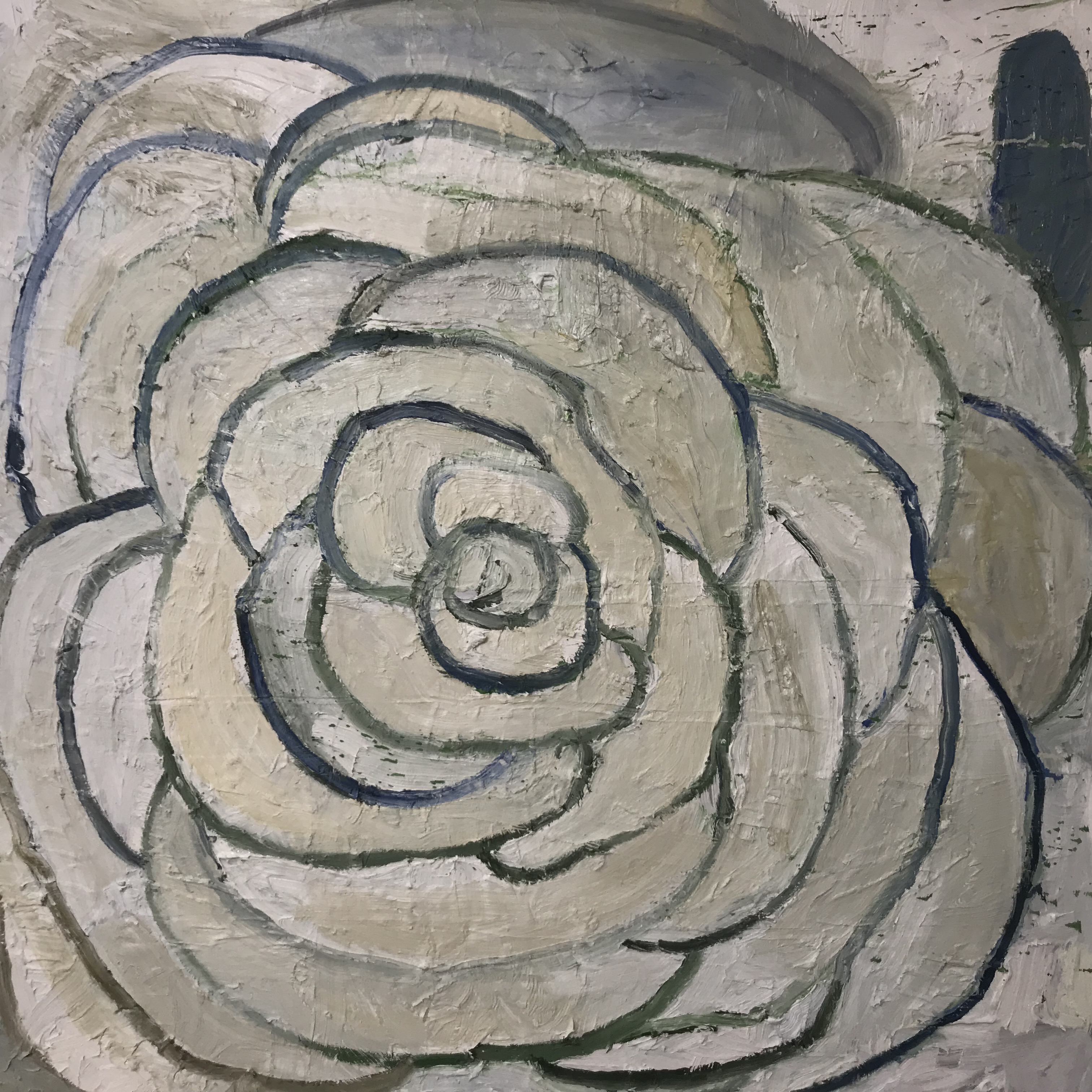 Tortola, 2021, Oil on canvas, 48"x48"in