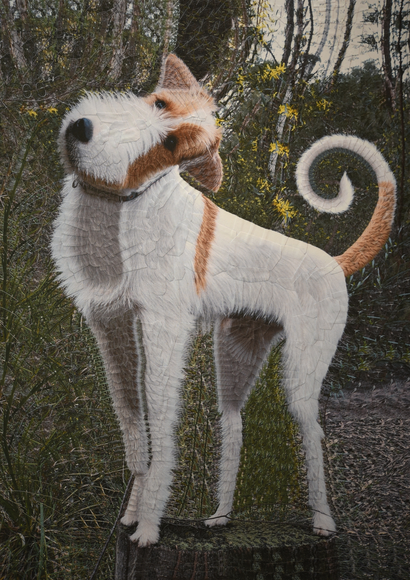 Eddie, 2020, 8.2 x11.6 inches