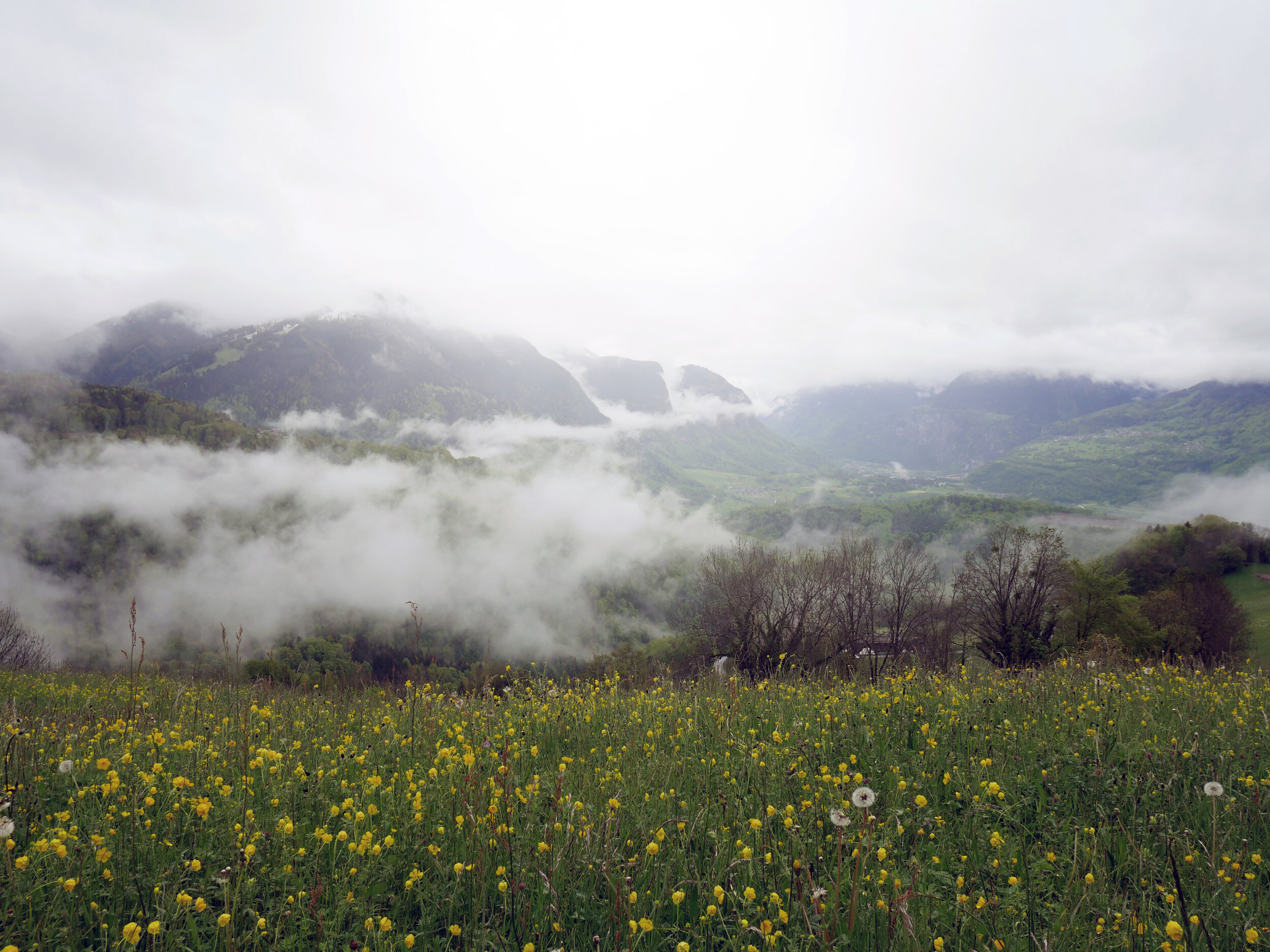 Huémoz, Switzerland, 2021