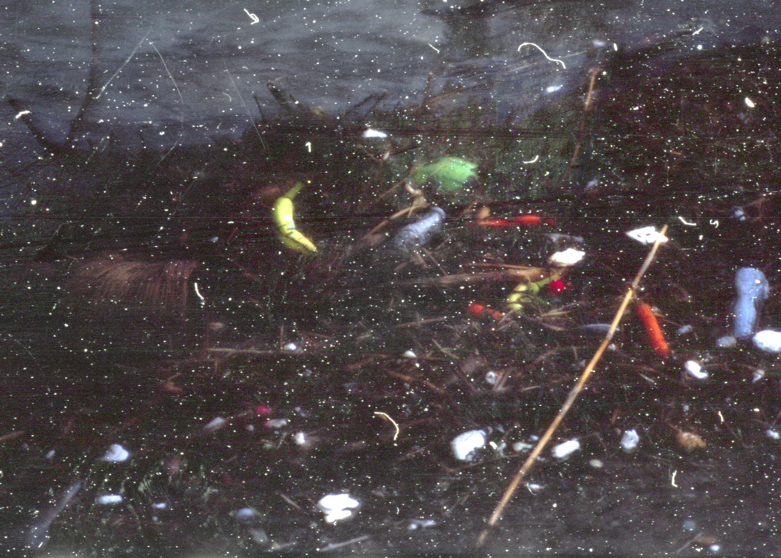 2025  |  Salvage Archives