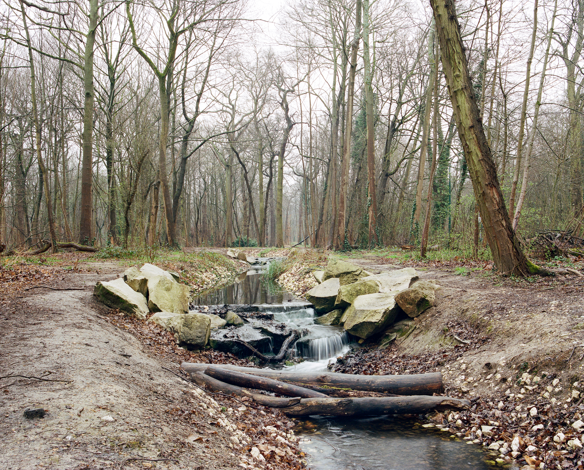 Renaturation du bois de Vincennes. Un large réseau de cours d'eau irrigue le bois et participe au développement d'une certaine biodiversité
