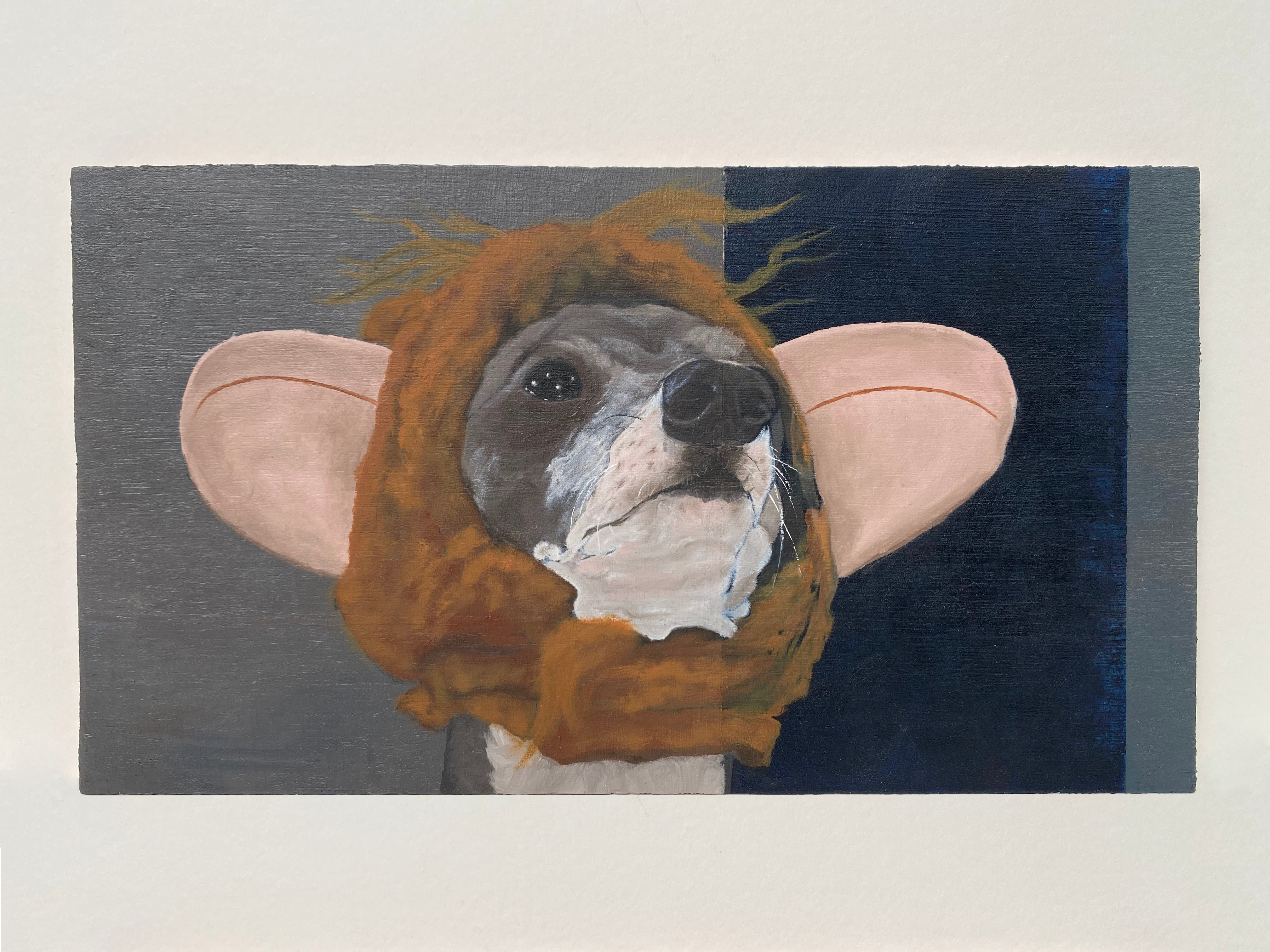 my dogs try on halloween costumes 3   oil on plywood, 14.5 x 26 cm 