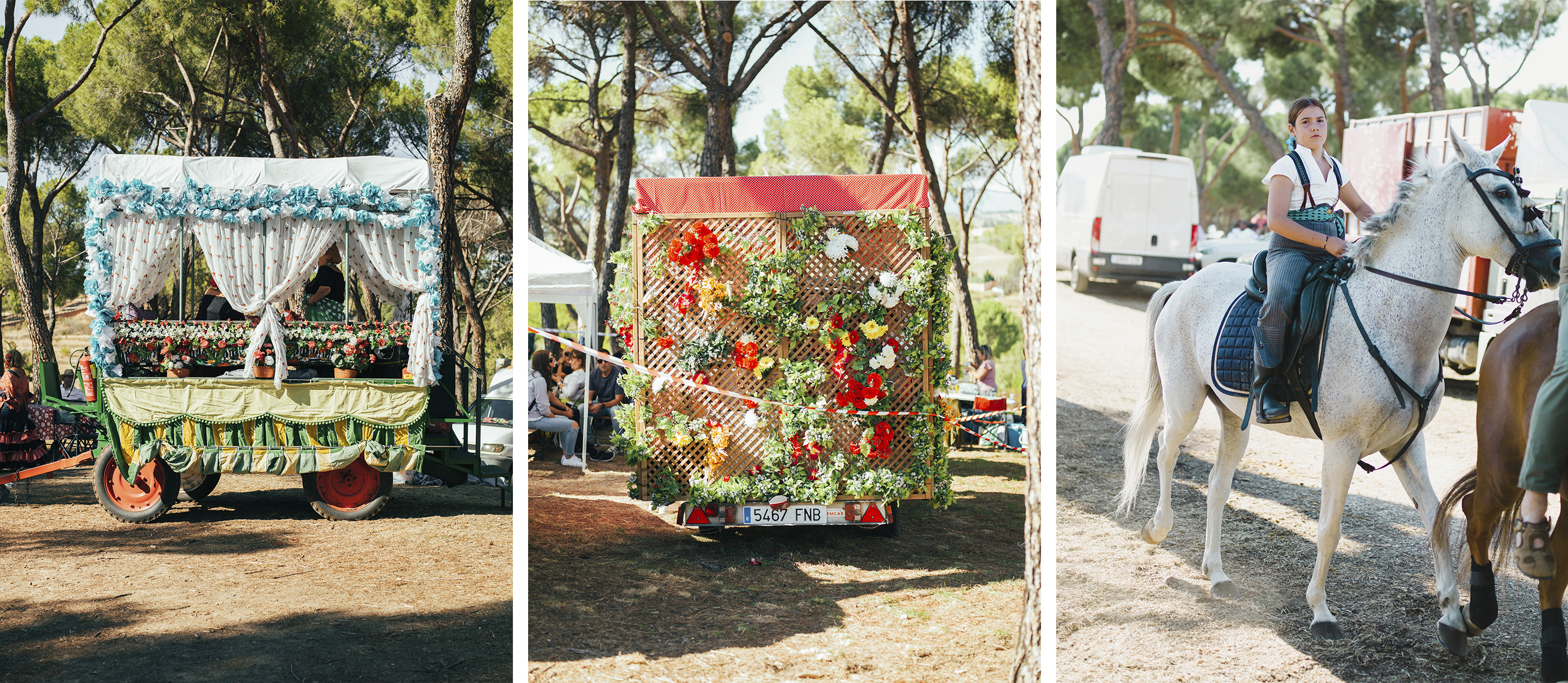 DÍA DEL CABALLO /22