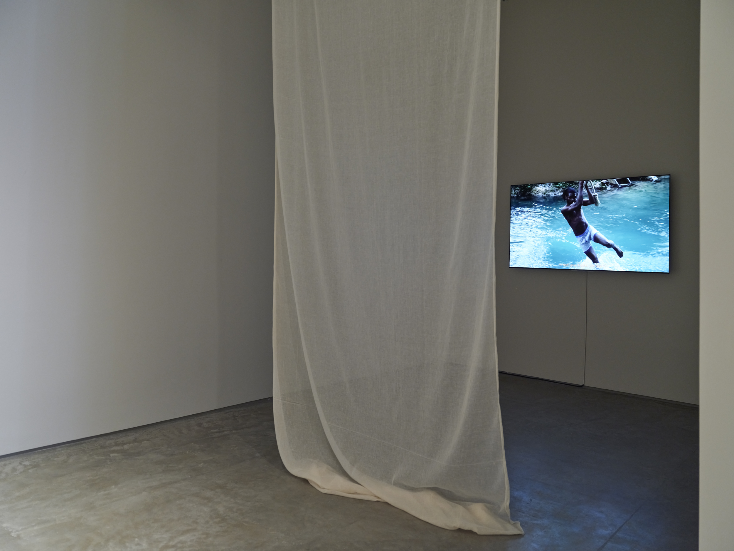 Ania Freer, Cotton Tree, 2016. Video, 1 min; Shango, 2016. Video, 3 min. Photo by Flaneurshan.studio