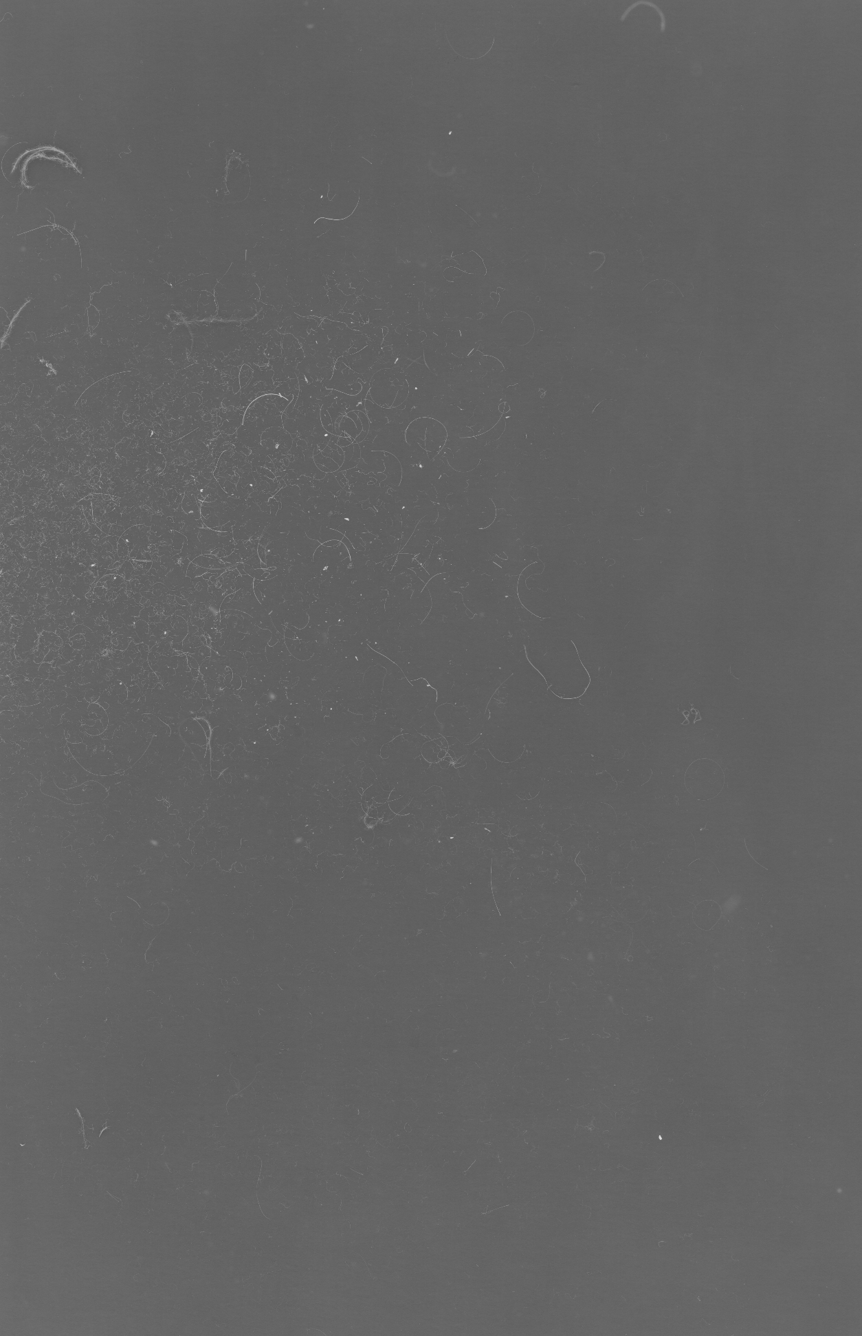 Instant Karma 3, 2014, 71 x 109 cm, Fotoprint