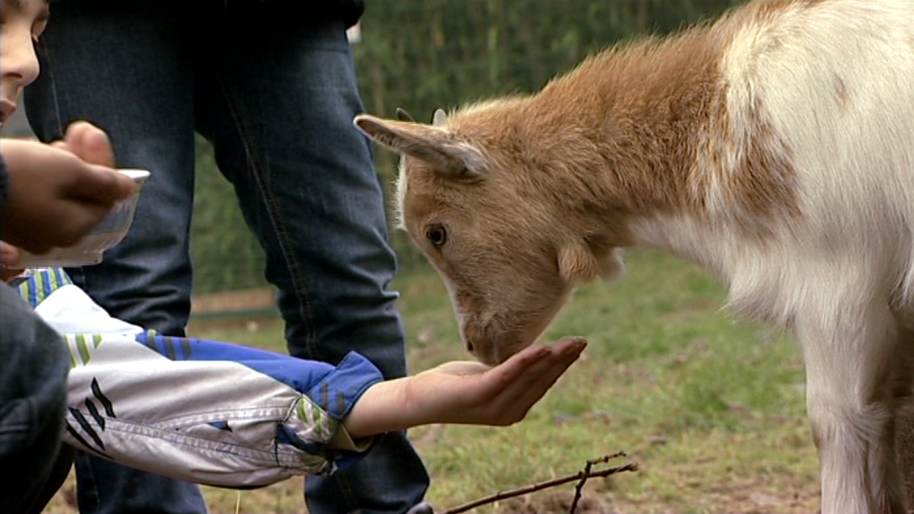 Mathieu Georges - Instituteur SASS - La Cité Joyeuse - Maxime Tellier
